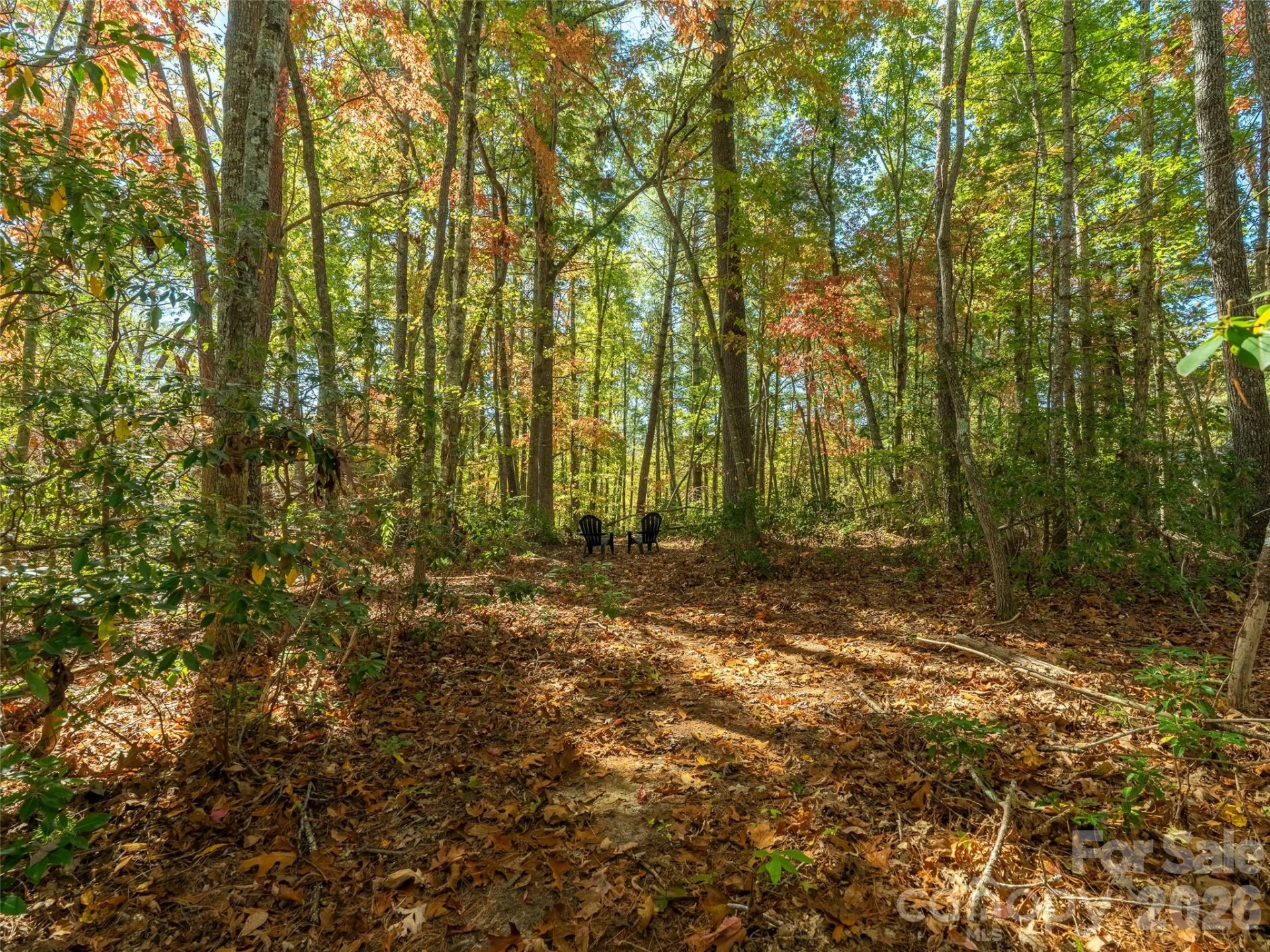 18 Towering Oaks Lane - Photo 3