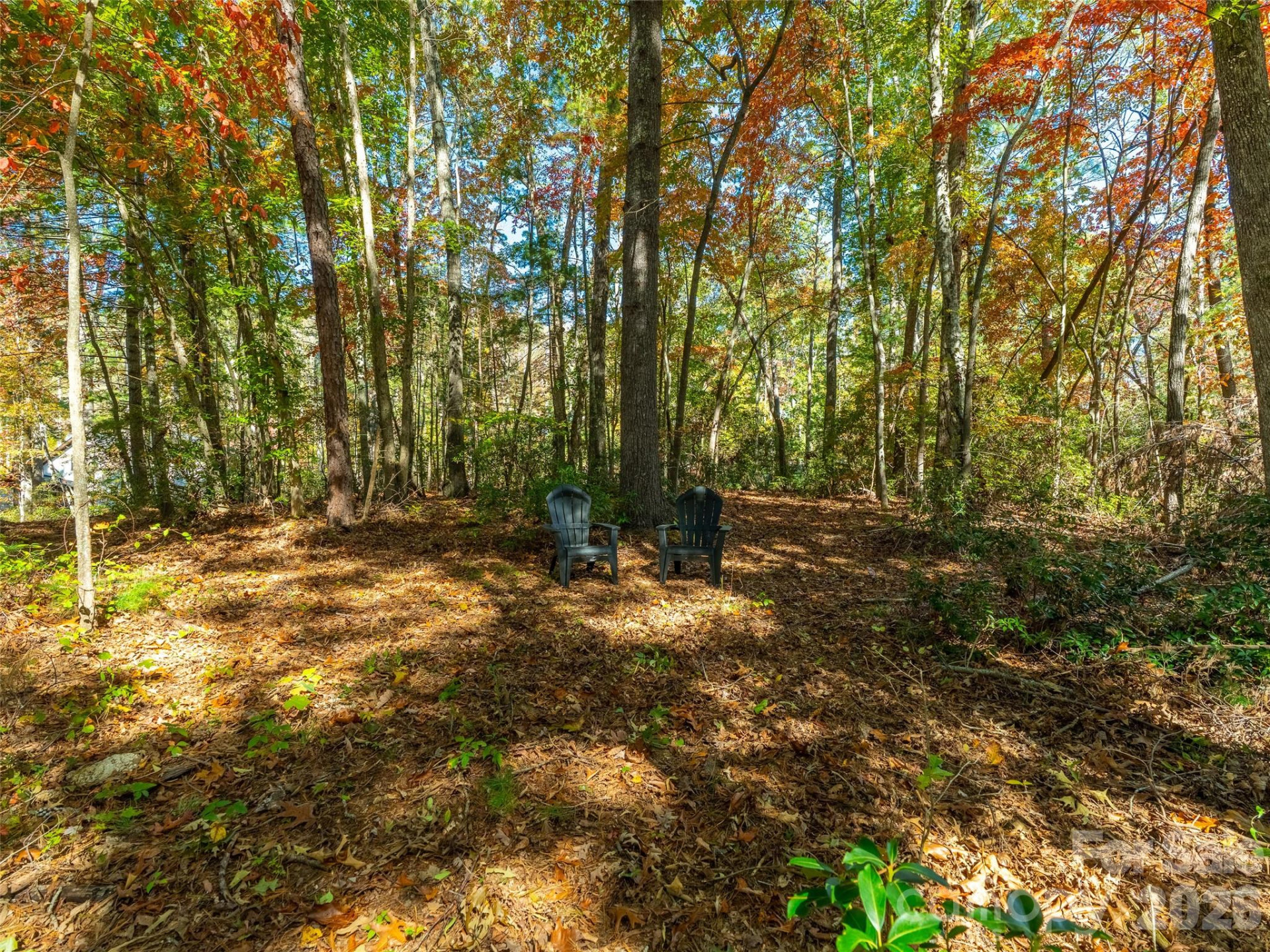18 Towering Oaks Lane - Photo 5