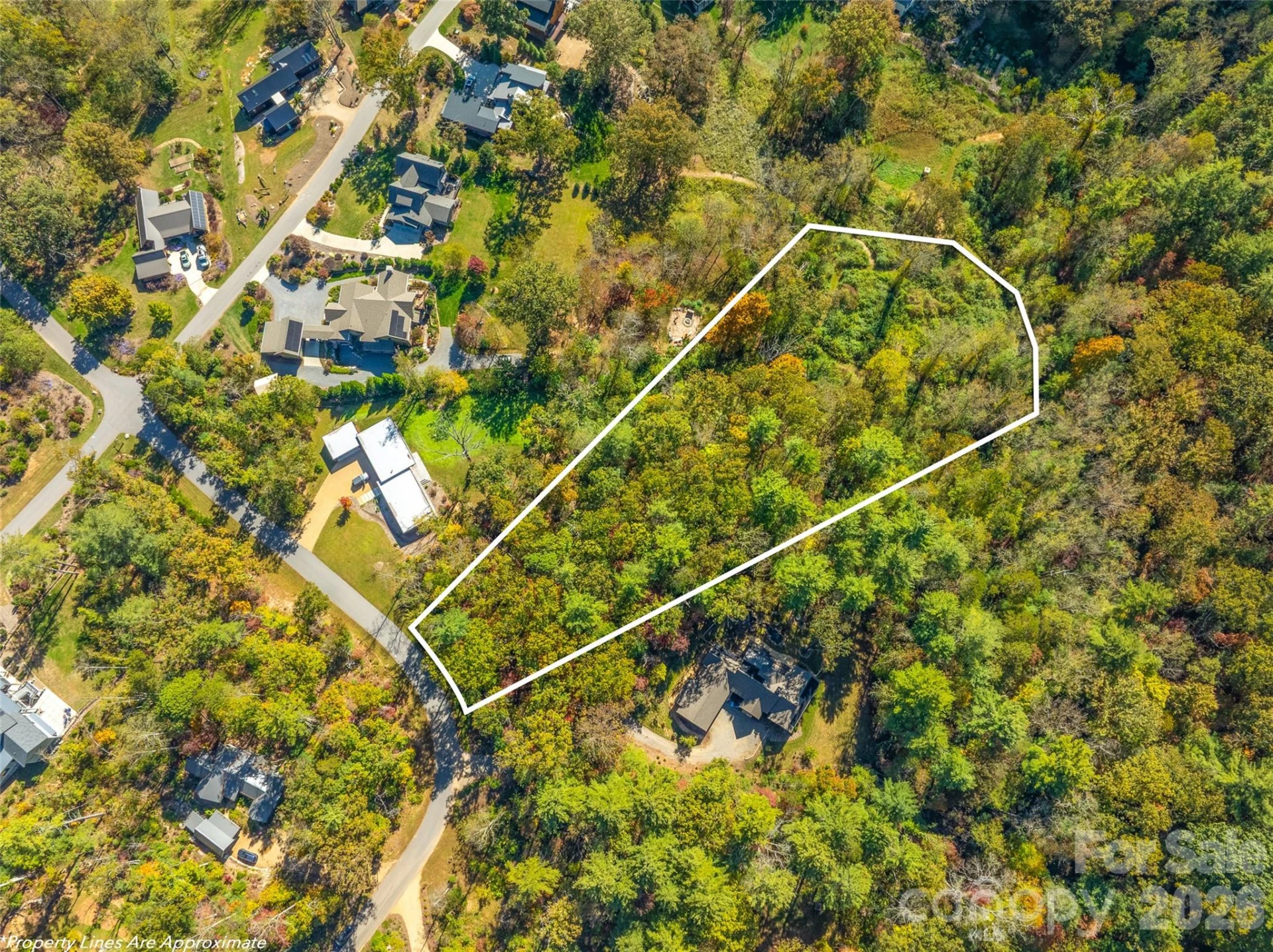 18 Towering Oaks Lane - Photo 6