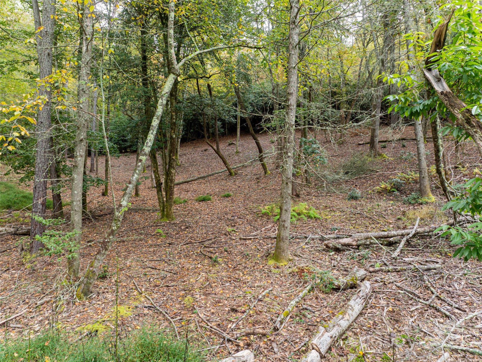 71 Happy Valley Drive - Photo 15