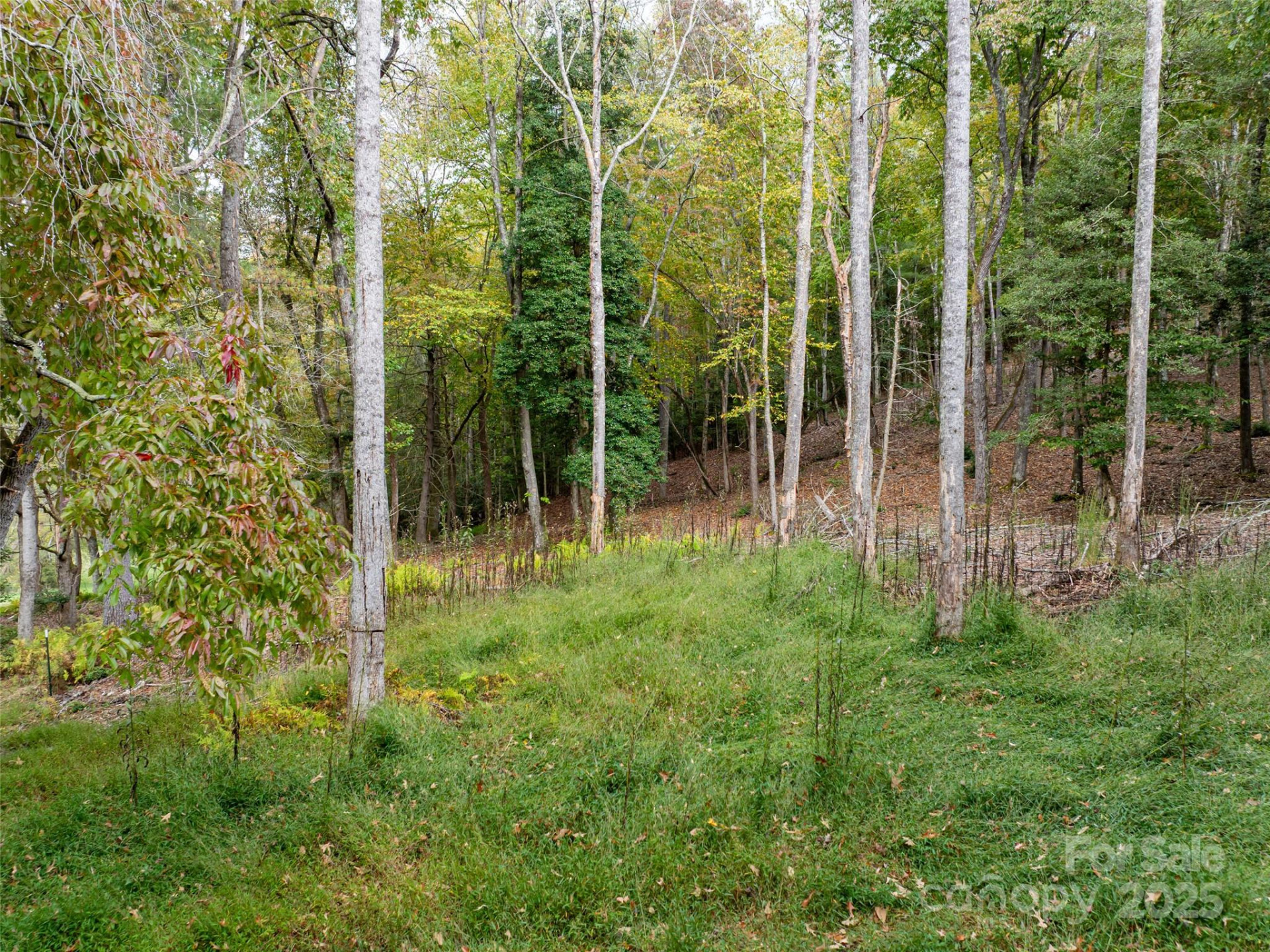 71 Happy Valley Drive - Photo 34