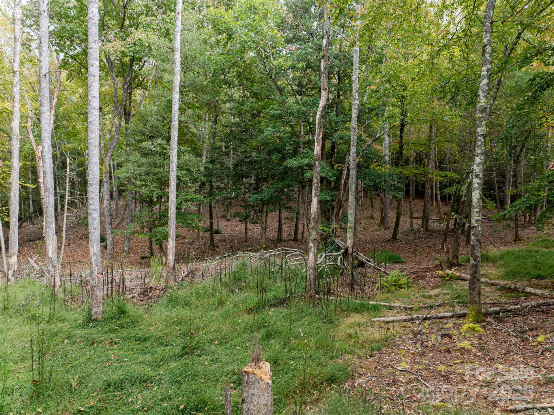 71 Happy Valley Drive - Photo 40