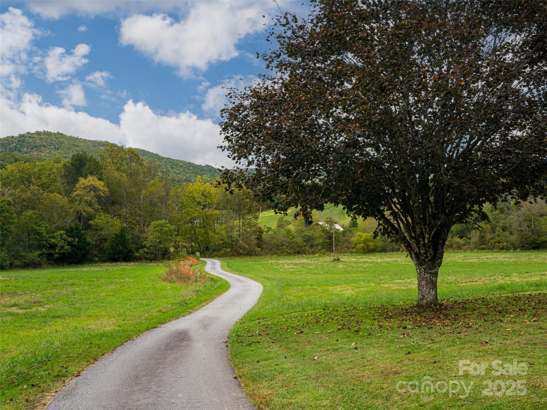 71 Happy Valley Drive - Photo 17