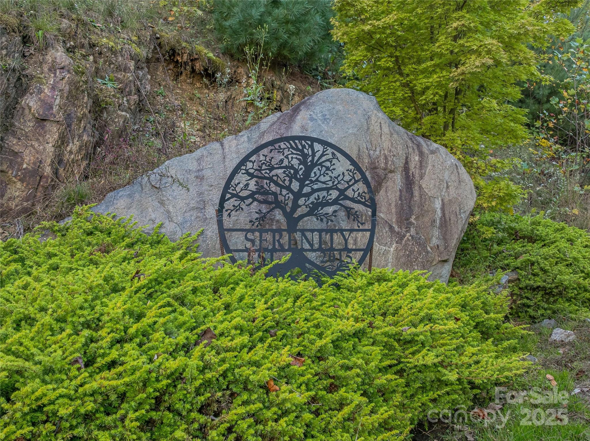 273 Serenity Ridge Trail #36 - Photo 2