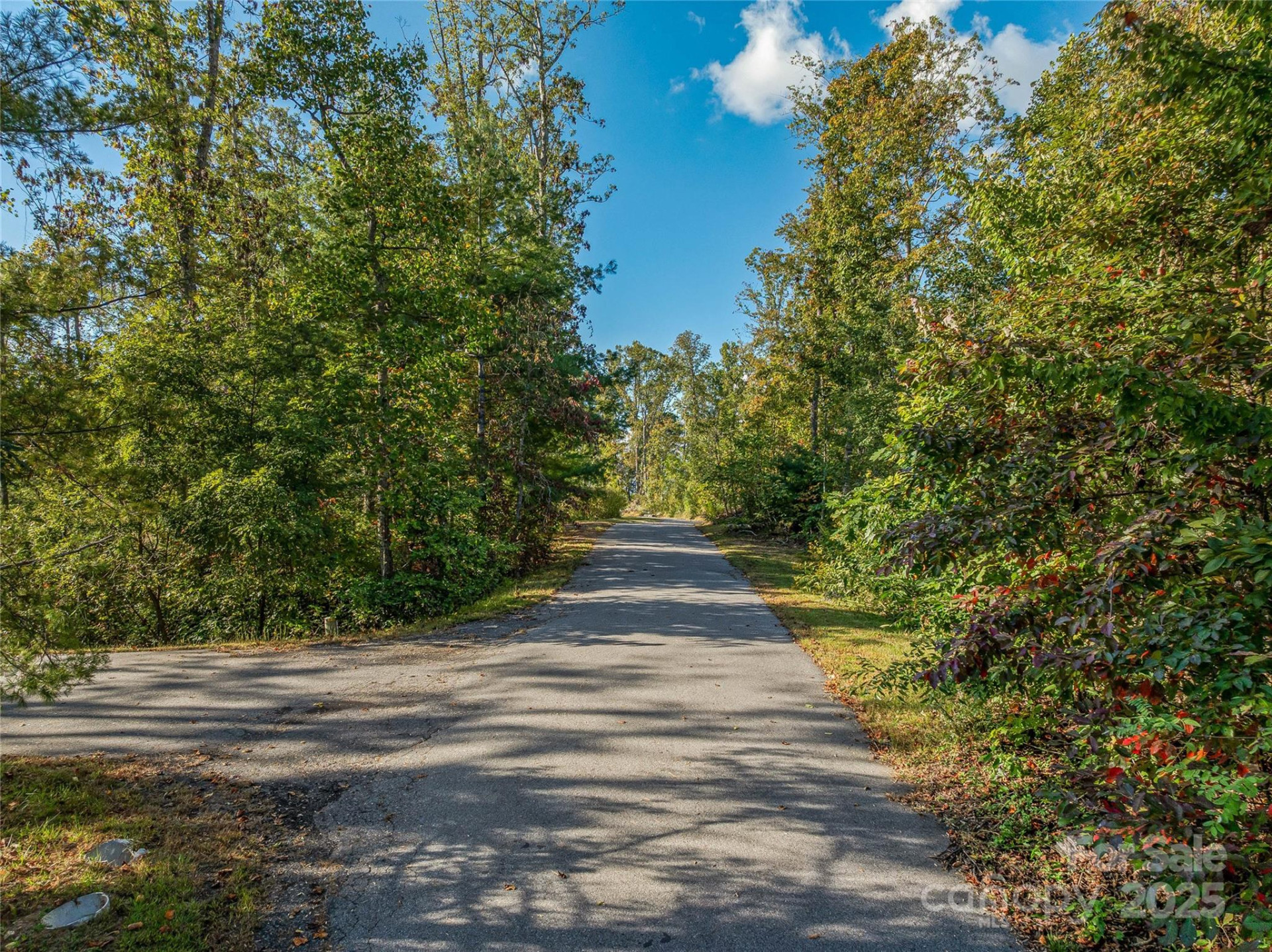 273 Serenity Ridge Trail #36 - Photo 11