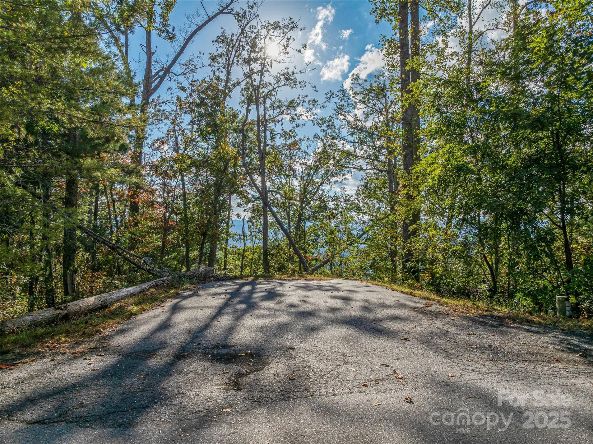 273 Serenity Ridge Trail #36 - Photo 12