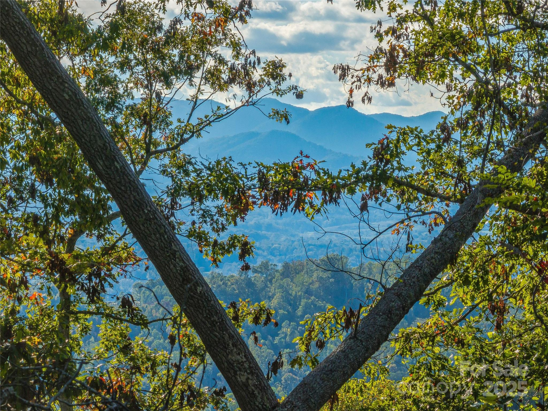 273 Serenity Ridge Trail #36 - Photo 13