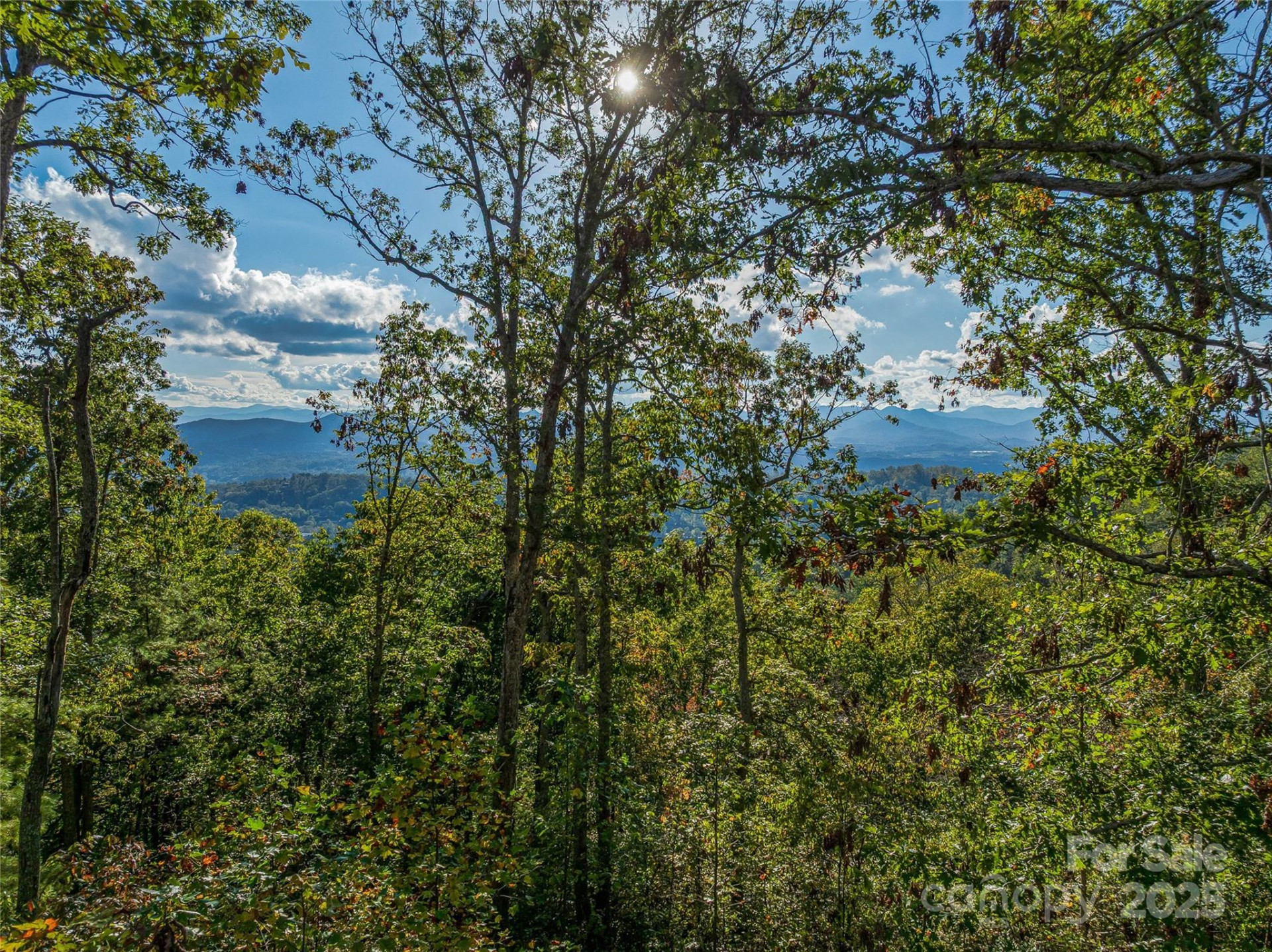 273 Serenity Ridge Trail #36 - Photo 14