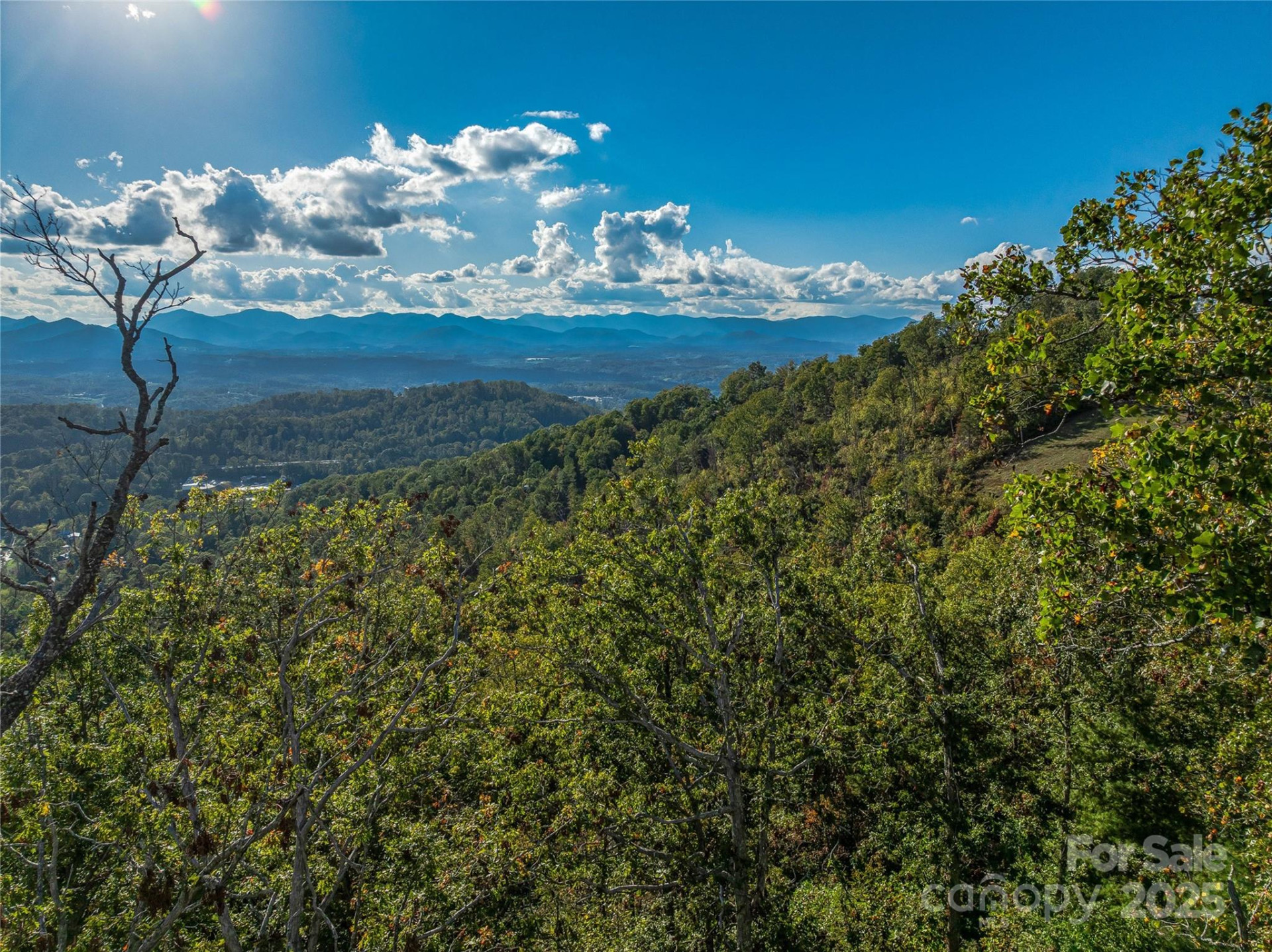 273 Serenity Ridge Trail #36 - Photo 19