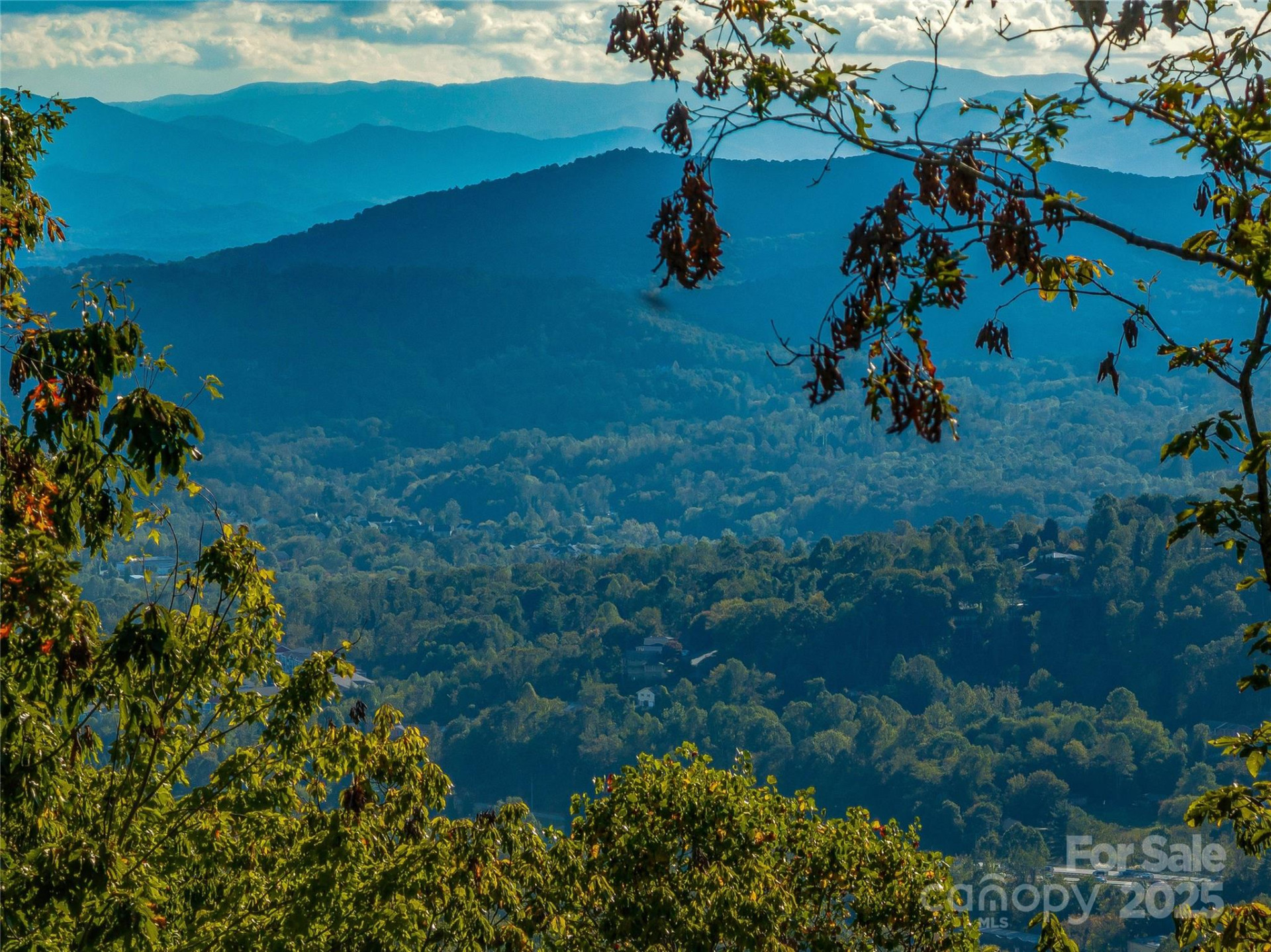 273 Serenity Ridge Trail #36 - Photo 20