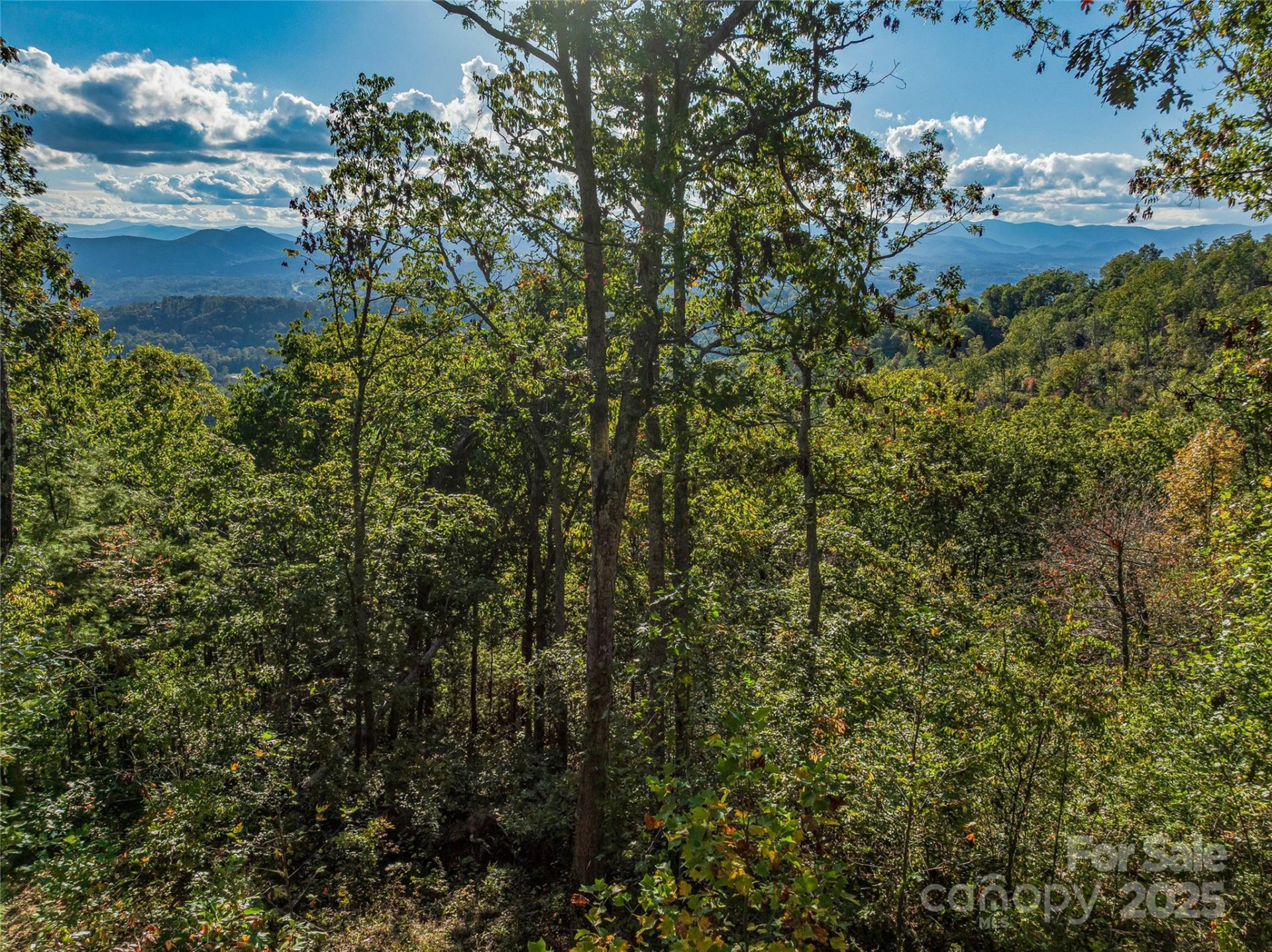 273 Serenity Ridge Trail #36 - Photo 21