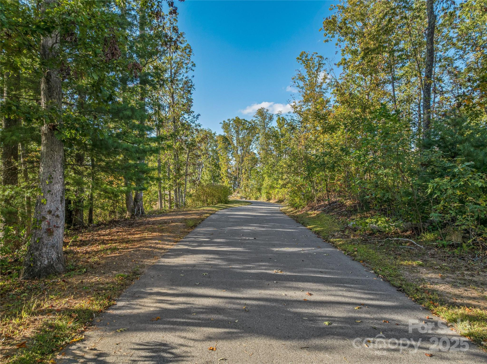 273 Serenity Ridge Trail #36 - Photo 24