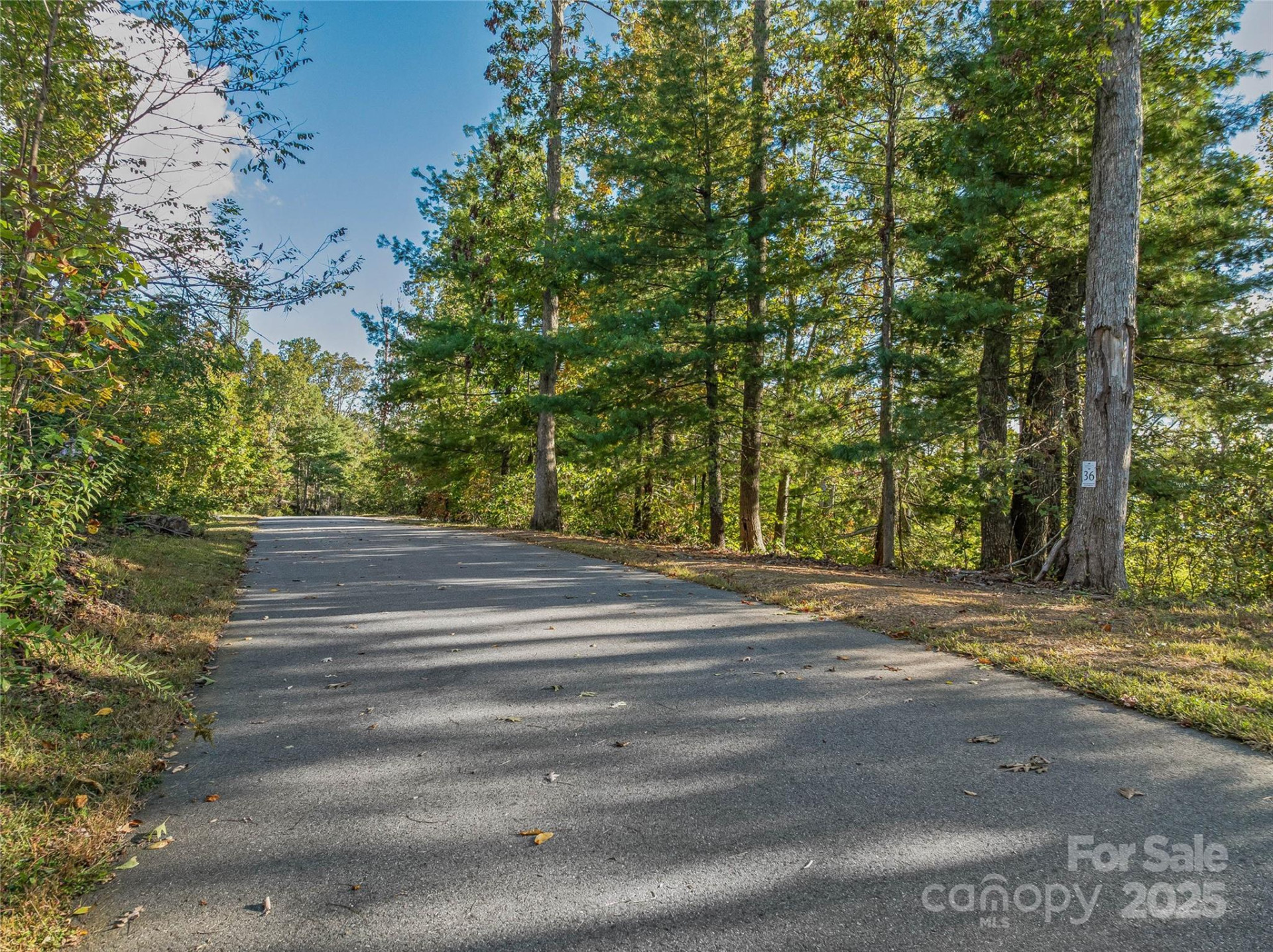 273 Serenity Ridge Trail #36 - Photo 25