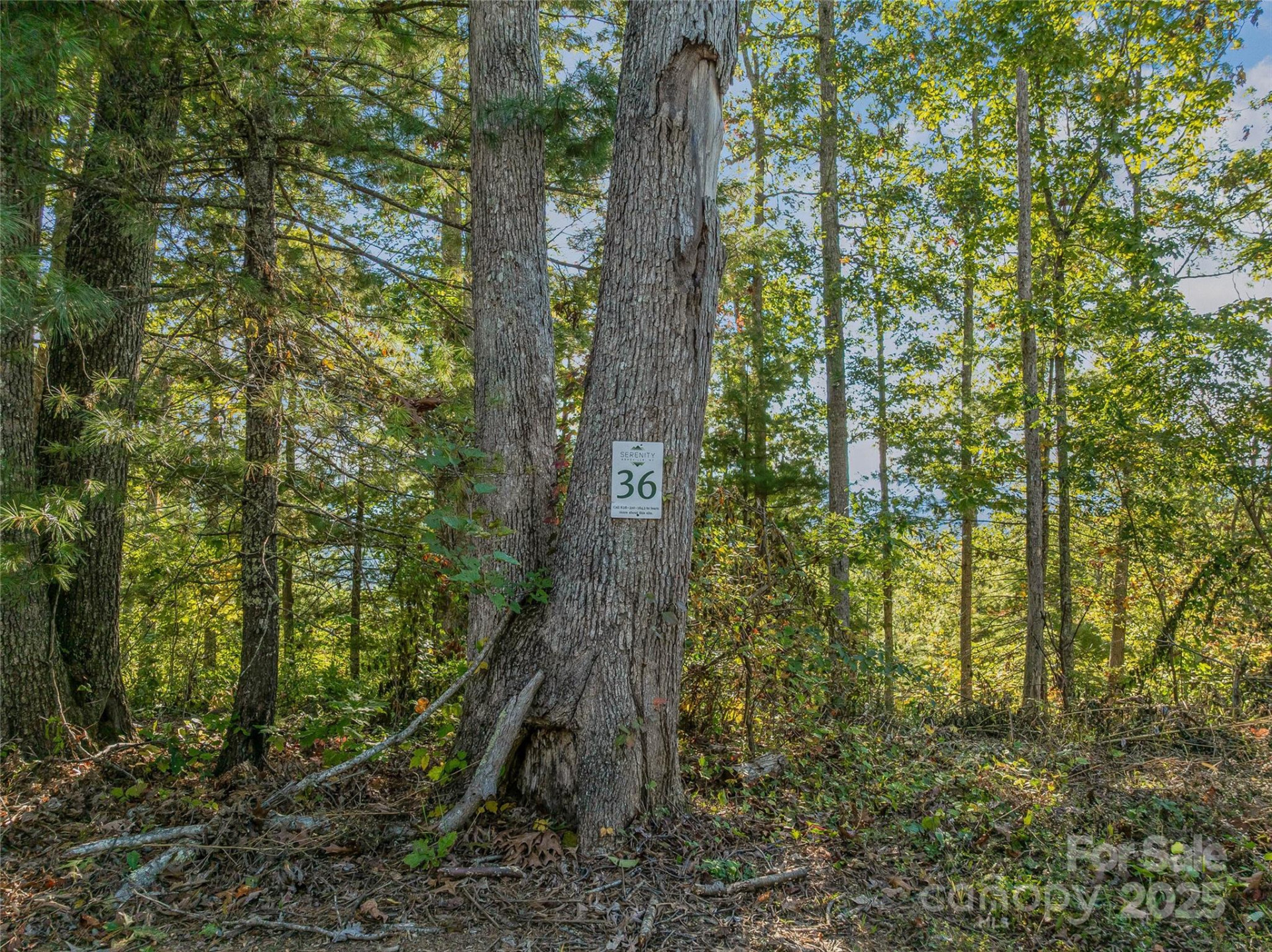 273 Serenity Ridge Trail #36 - Photo 26