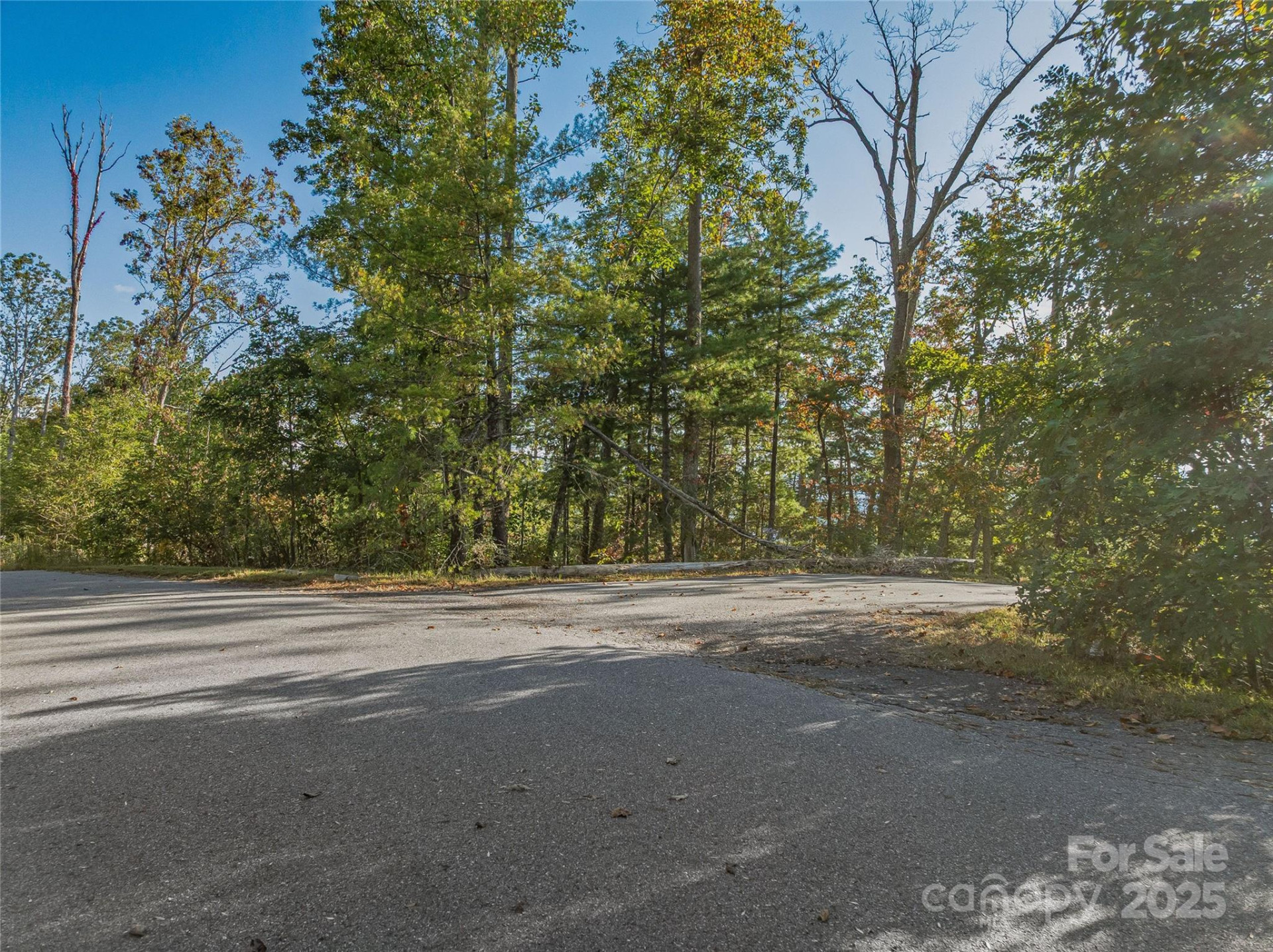 273 Serenity Ridge Trail #36 - Photo 27