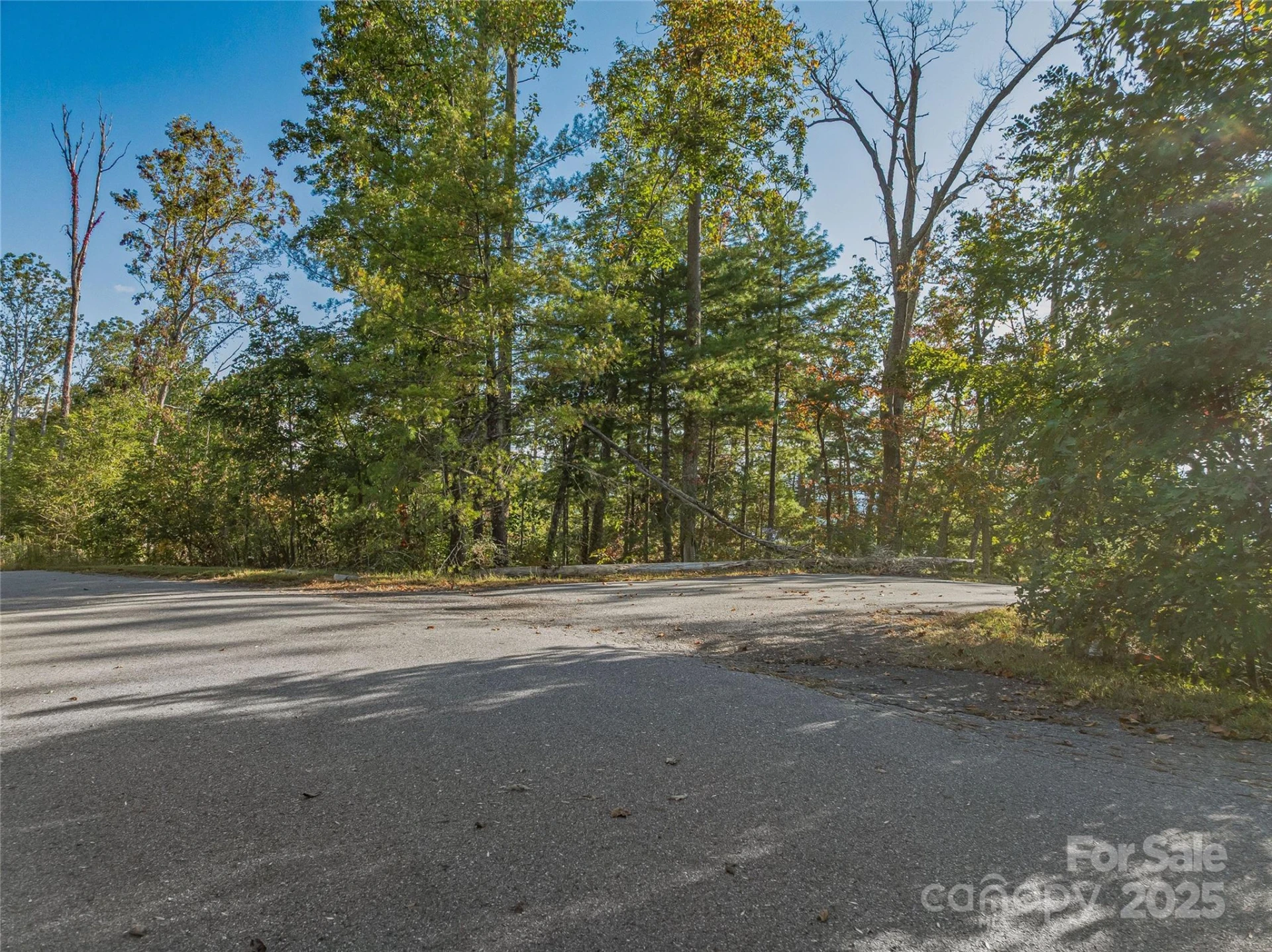 273 Serenity Ridge Trail #36 - Photo 27