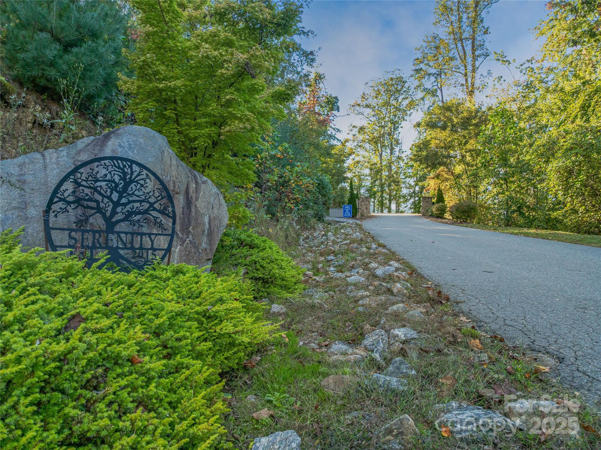 273 Serenity Ridge Trail #36 - Photo 28