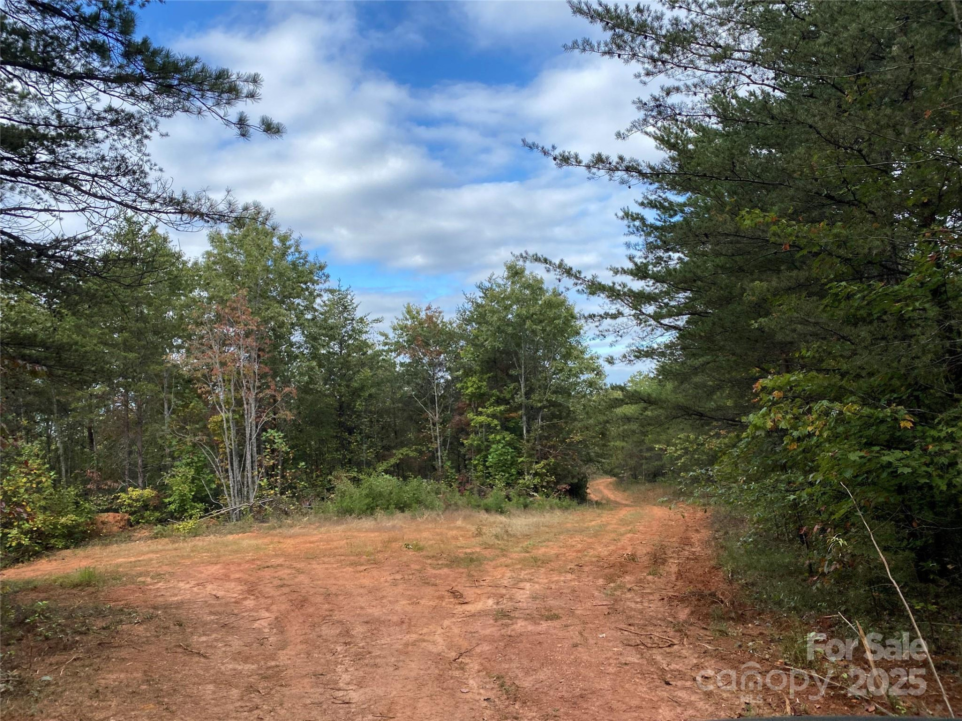 860 Redwood Drive - Photo 2