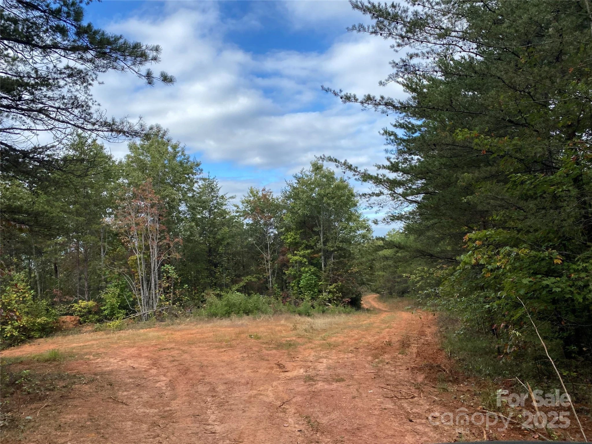 860 Redwood Drive - Photo 2