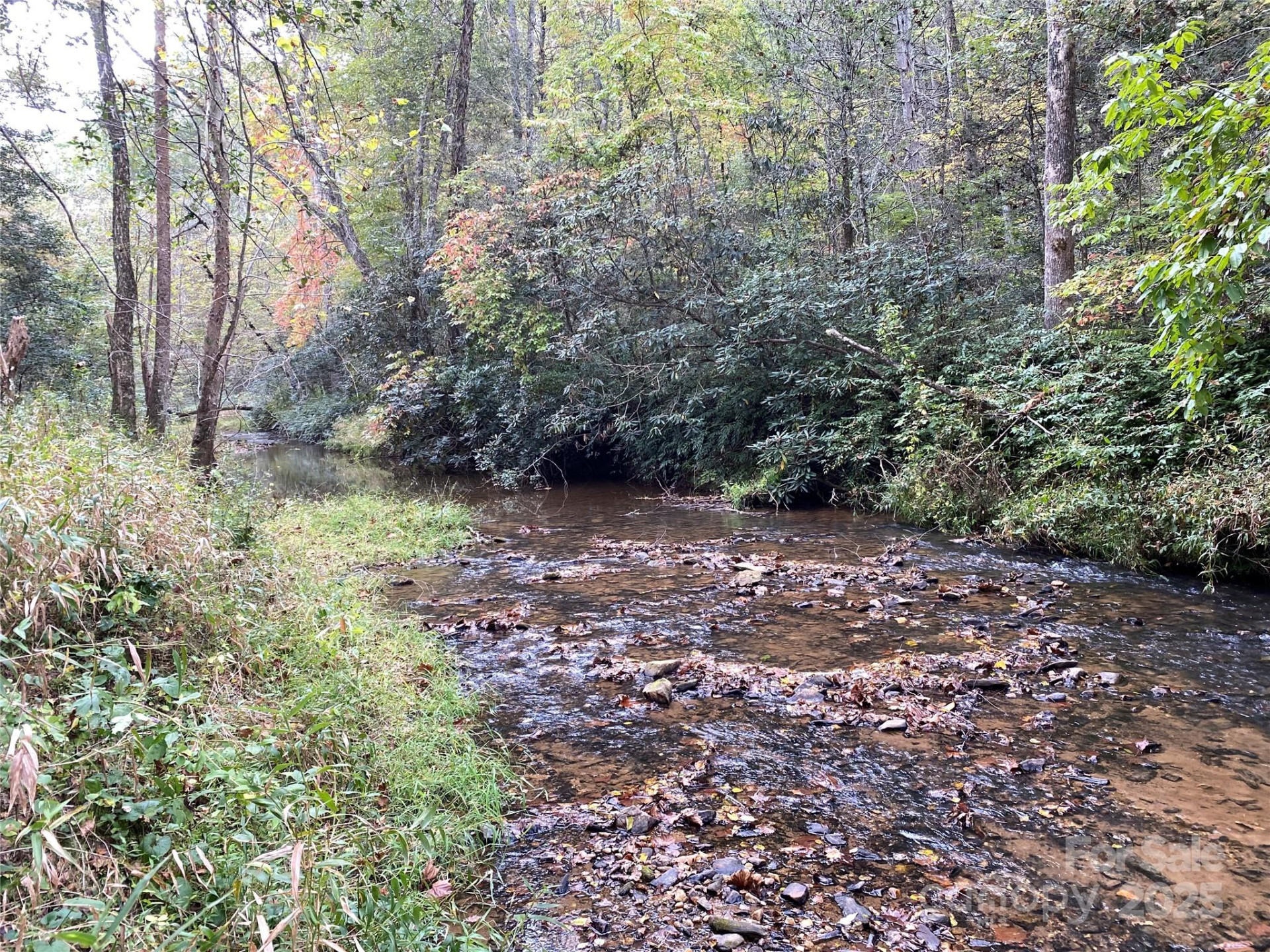 860 Redwood Drive - Photo 3