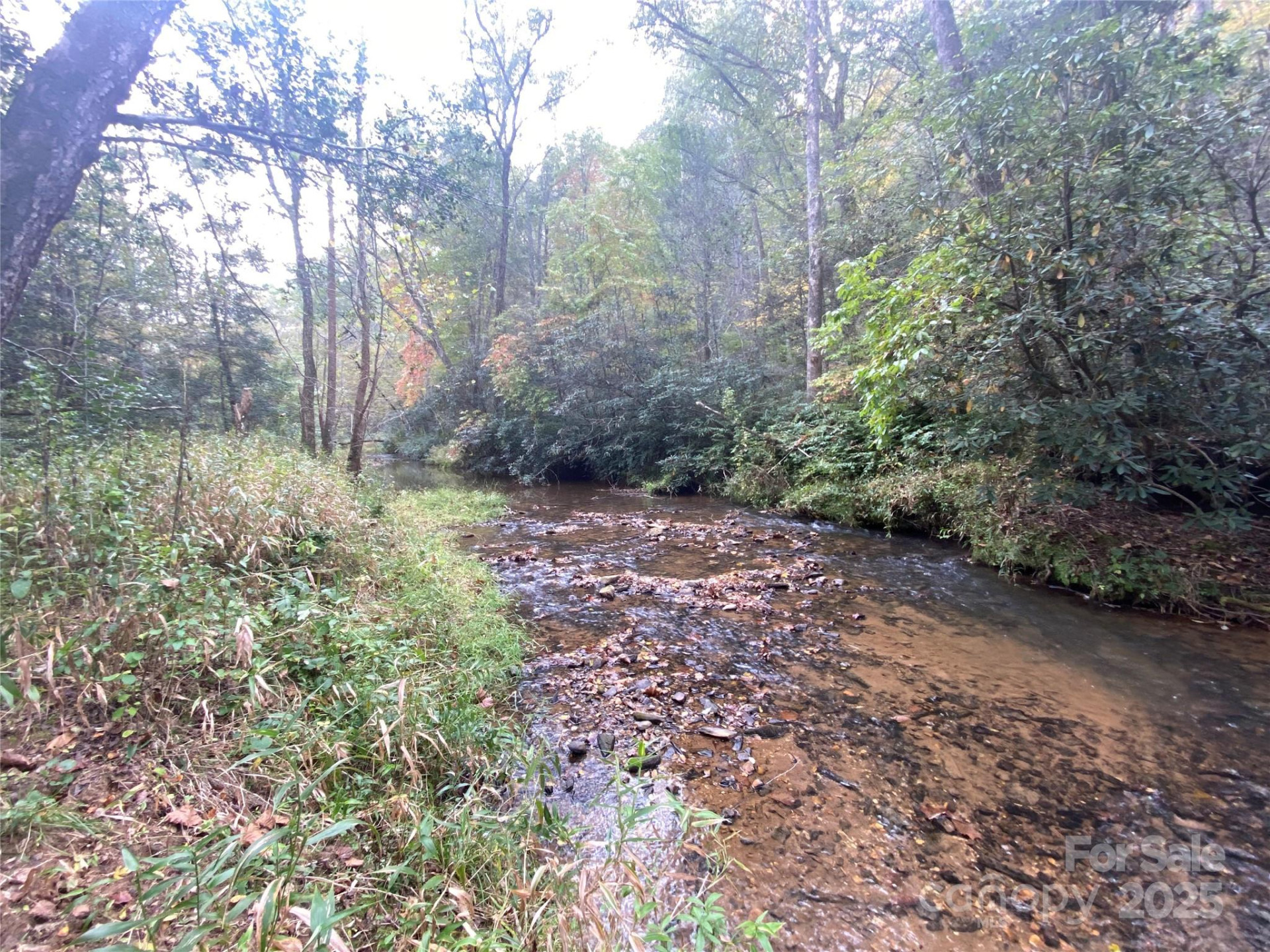 860 Redwood Drive - Photo 5