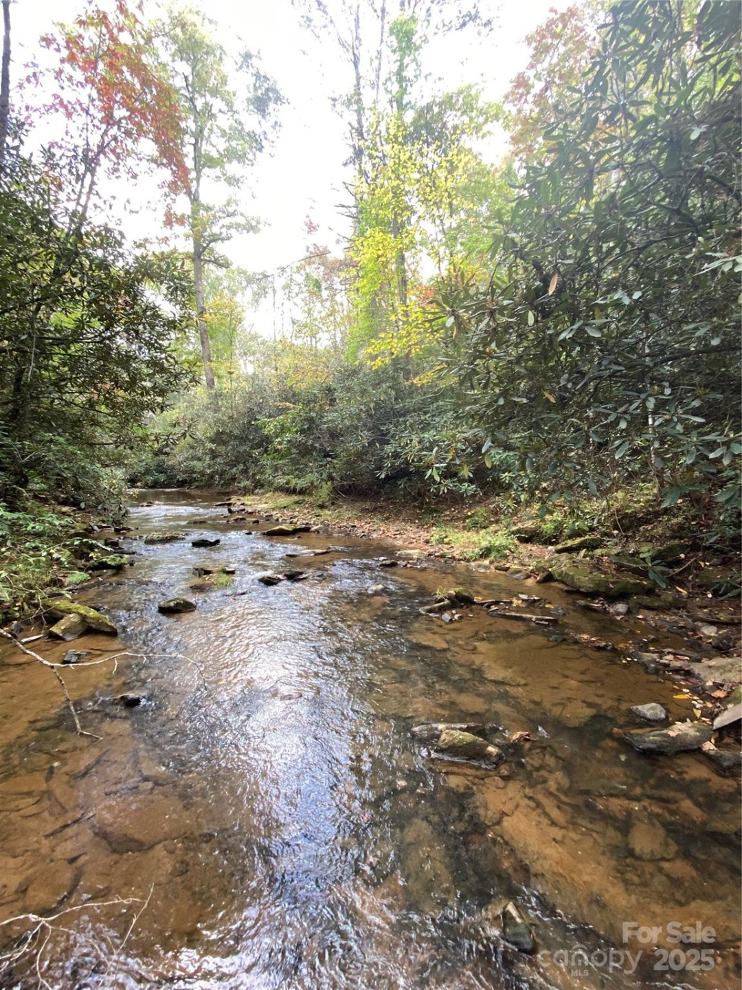 860 Redwood Drive - Photo 6