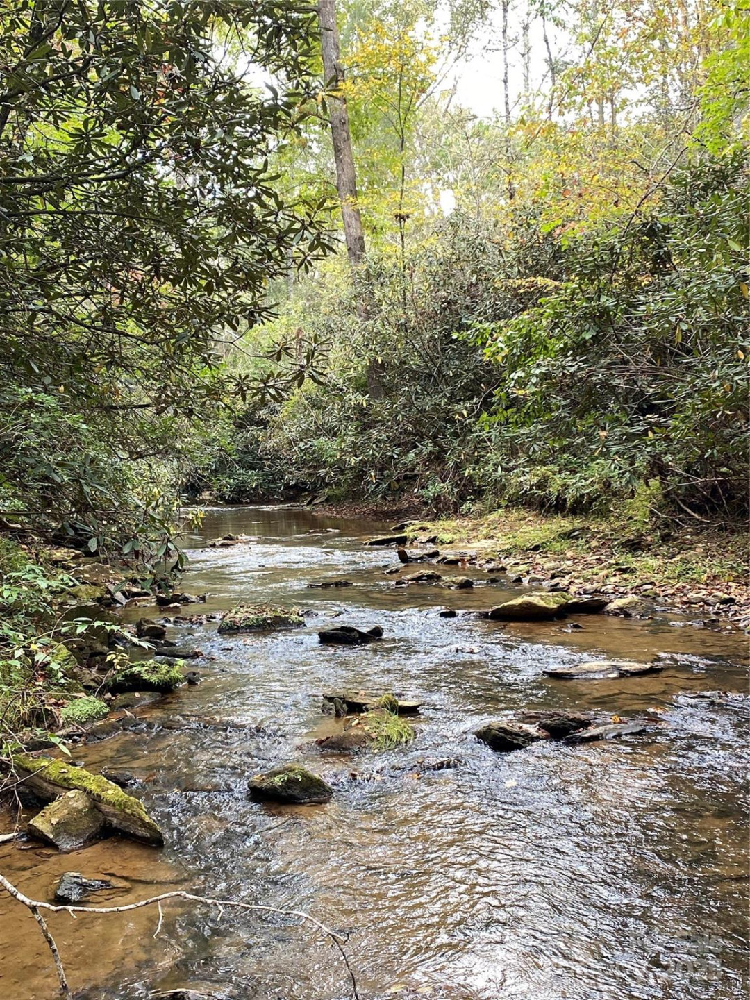 860 Redwood Drive - Photo 7