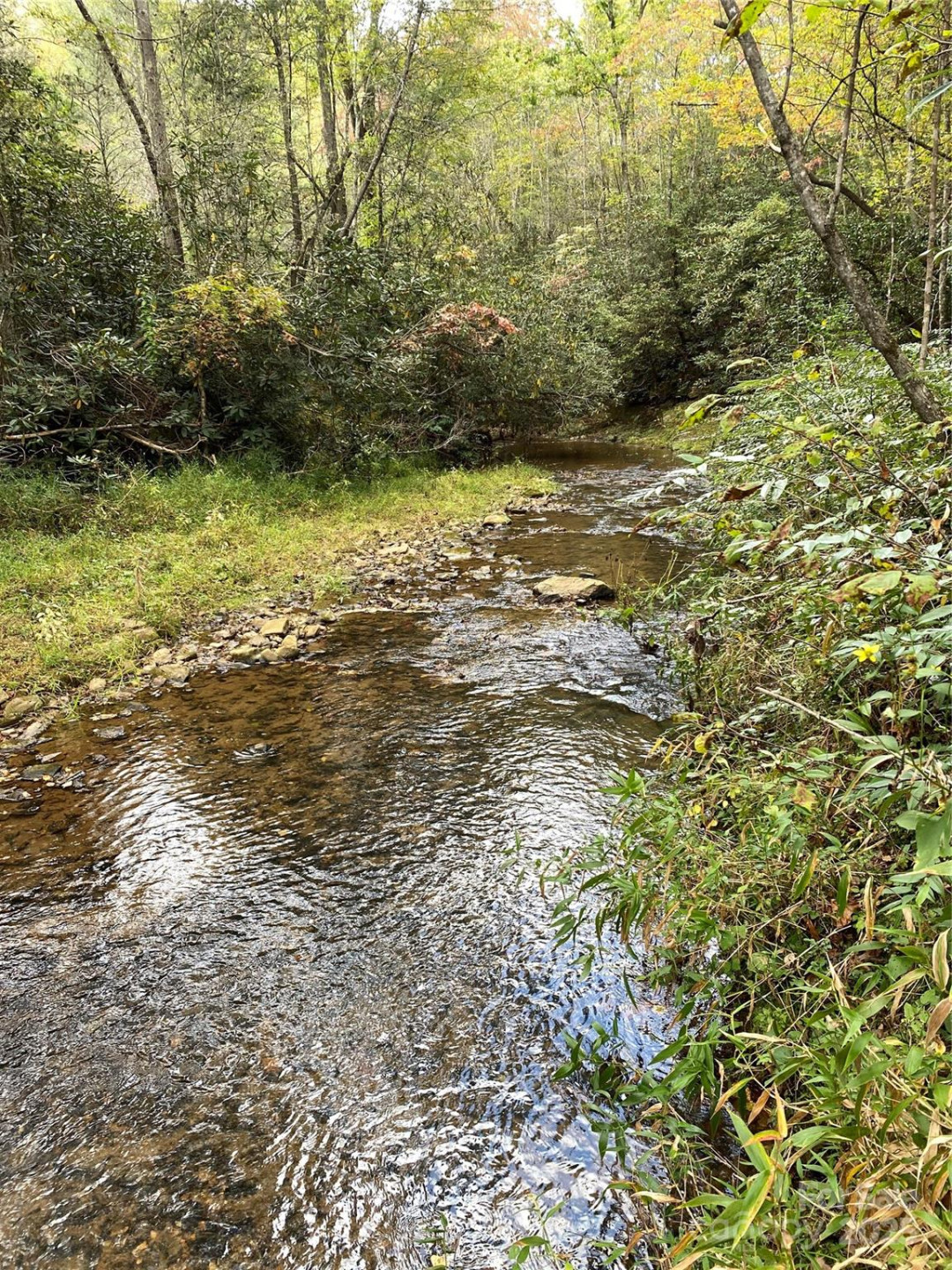 860 Redwood Drive - Photo 8