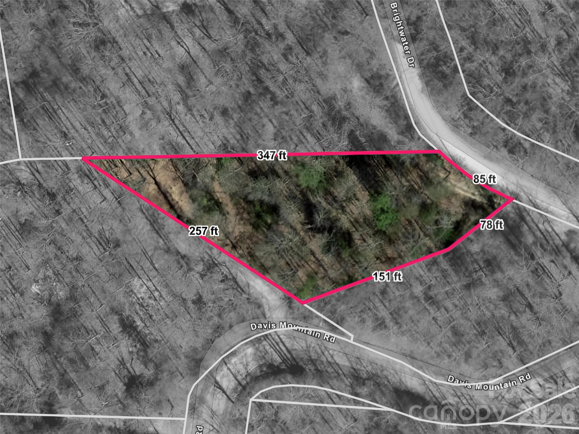 1462 Brightwater Road - Photo 40