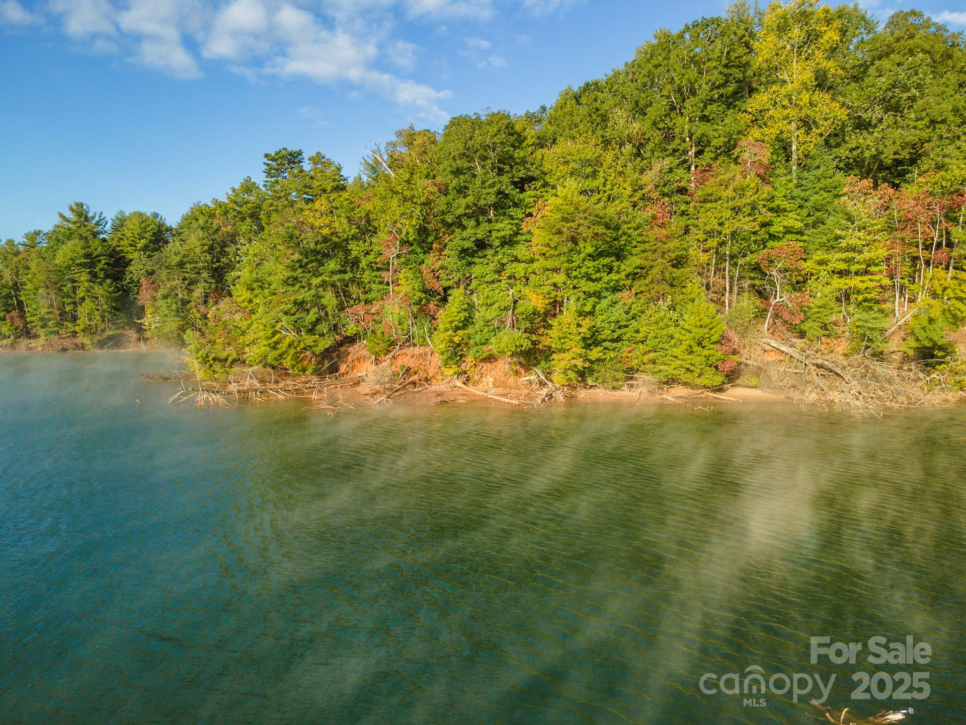 1439 Camp Firestone Drive - Photo 2