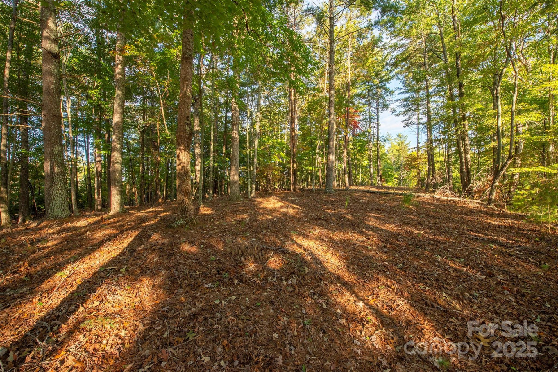 1439 Camp Firestone Drive - Photo 12