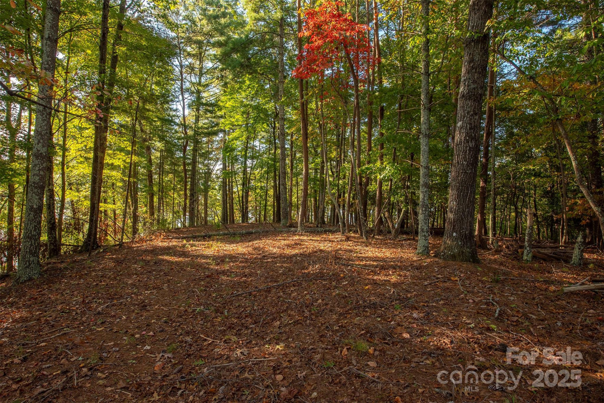 1439 Camp Firestone Drive - Photo 13