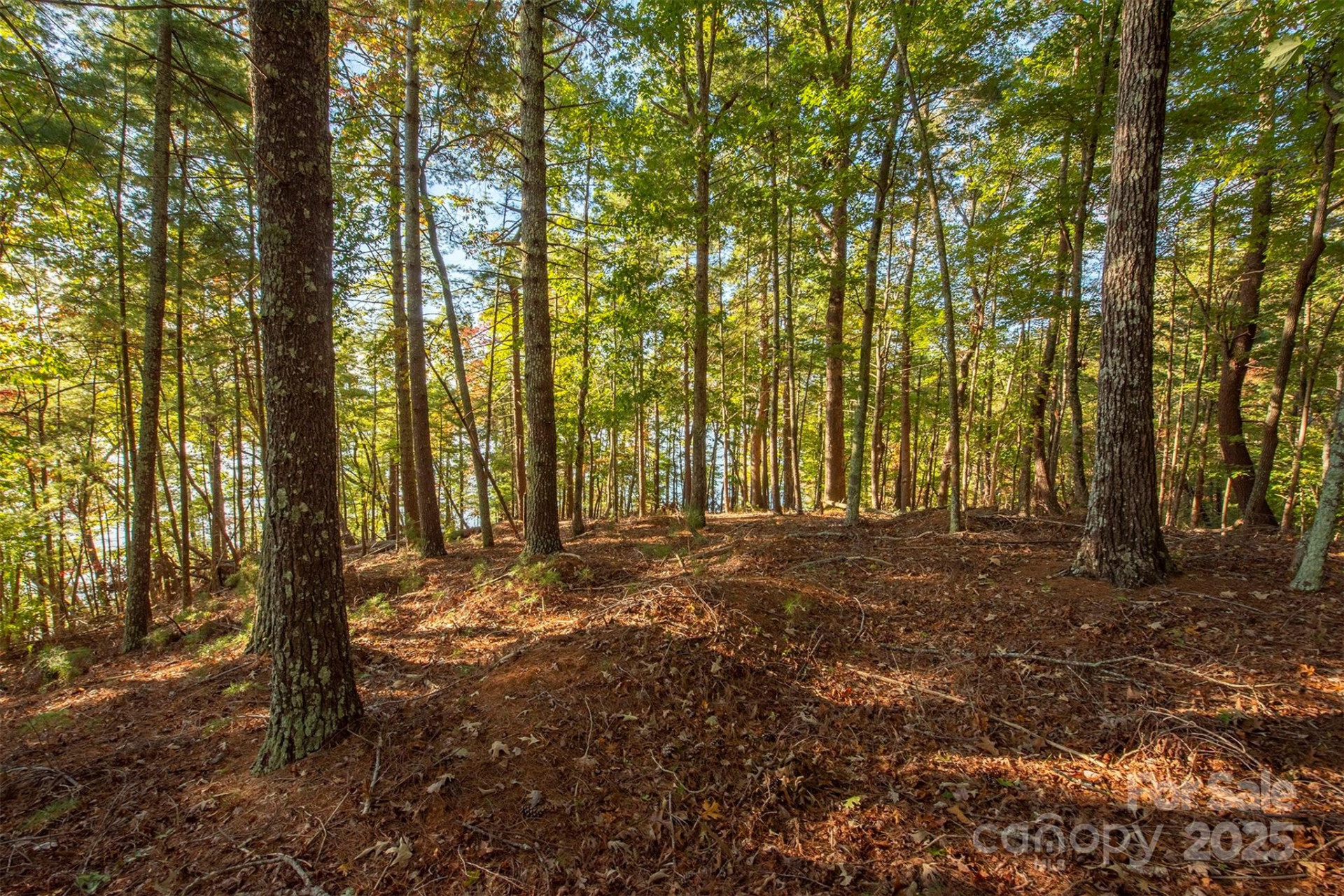 1439 Camp Firestone Drive - Photo 14