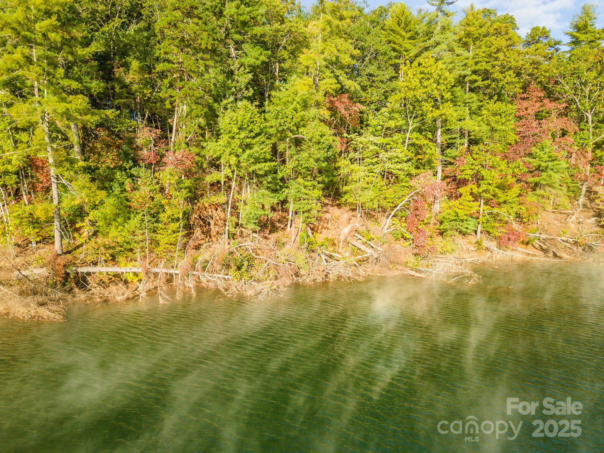 1439 Camp Firestone Drive - Photo 15