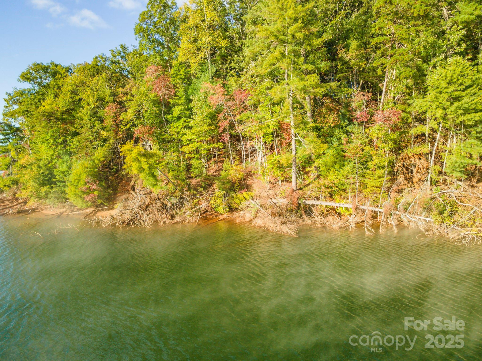 1439 Camp Firestone Drive - Photo 16