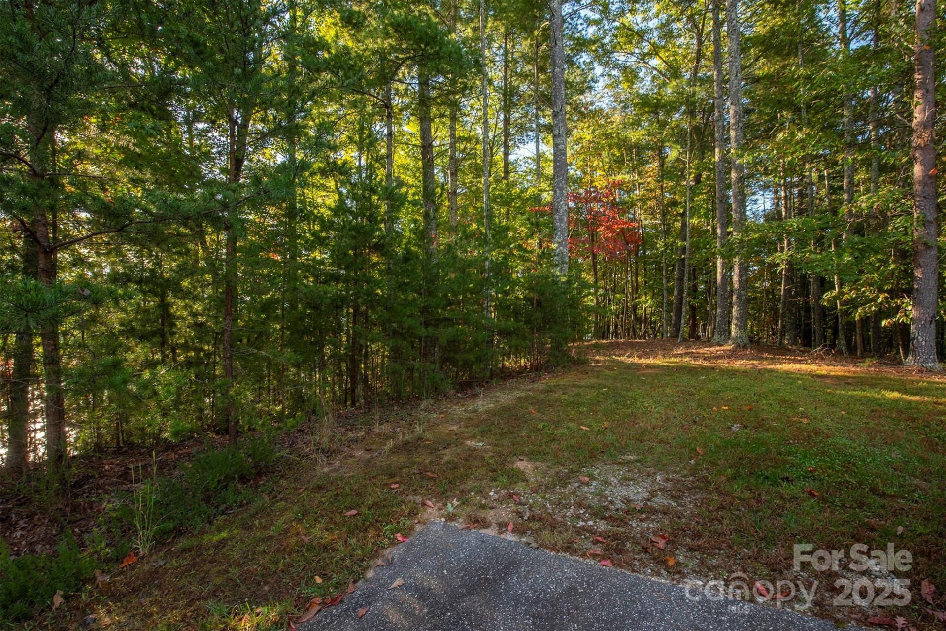 1439 Camp Firestone Drive - Photo 17