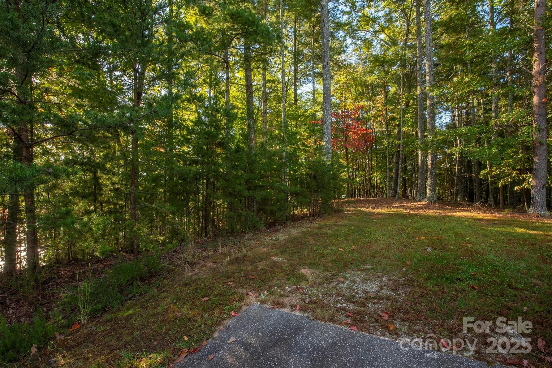 1439 Camp Firestone Drive - Photo 17