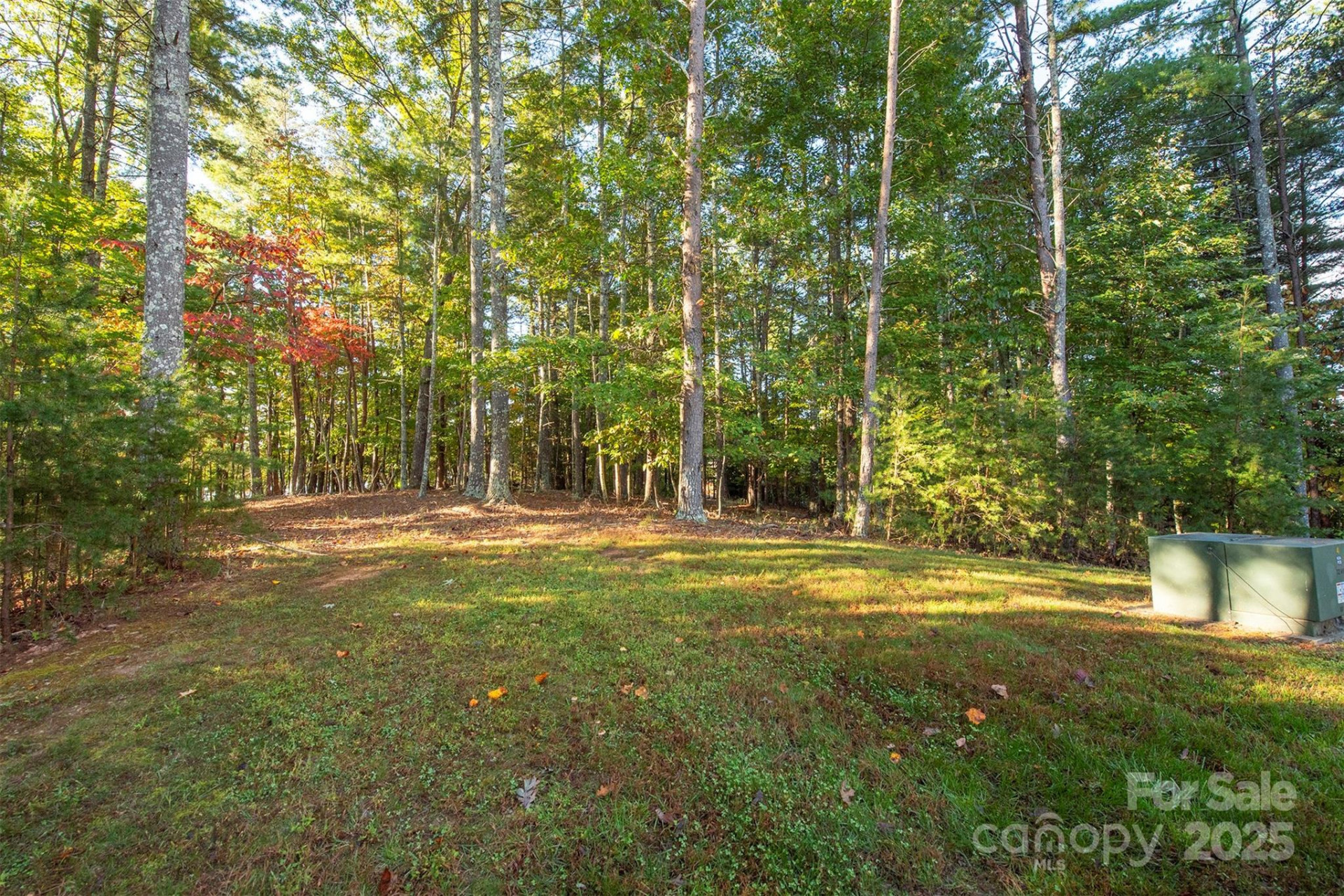 1439 Camp Firestone Drive - Photo 3