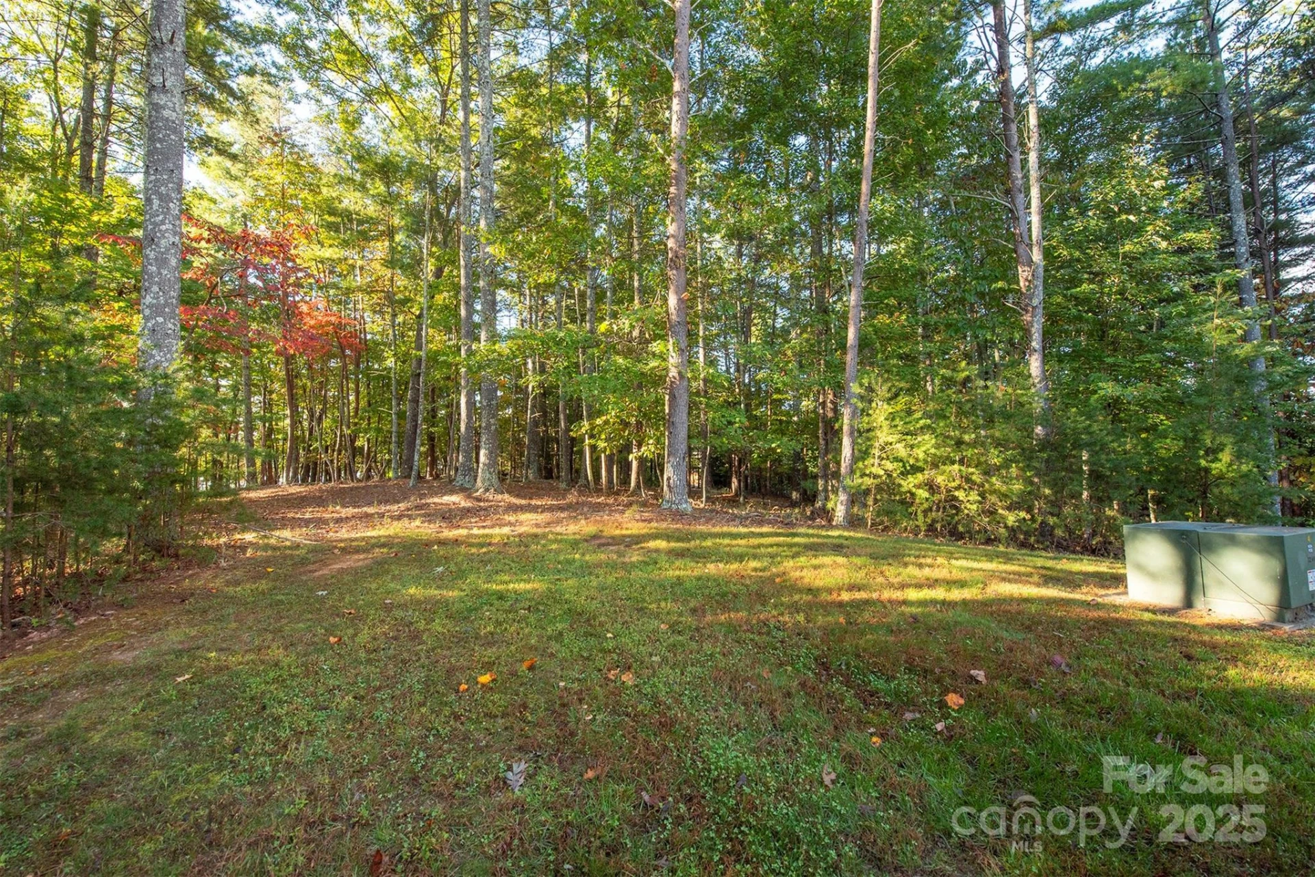 1439 Camp Firestone Drive - Photo 3