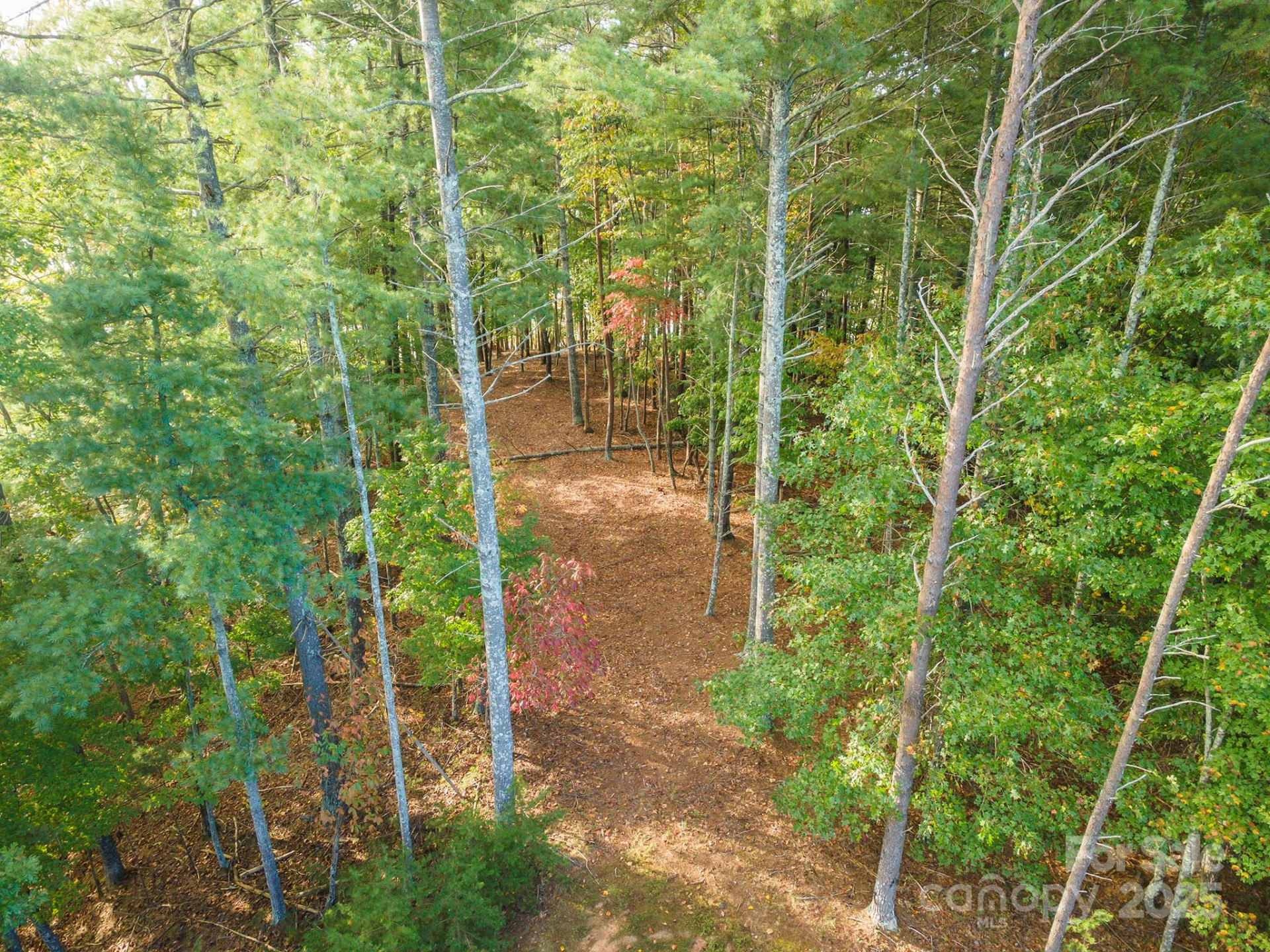 1439 Camp Firestone Drive - Photo 4