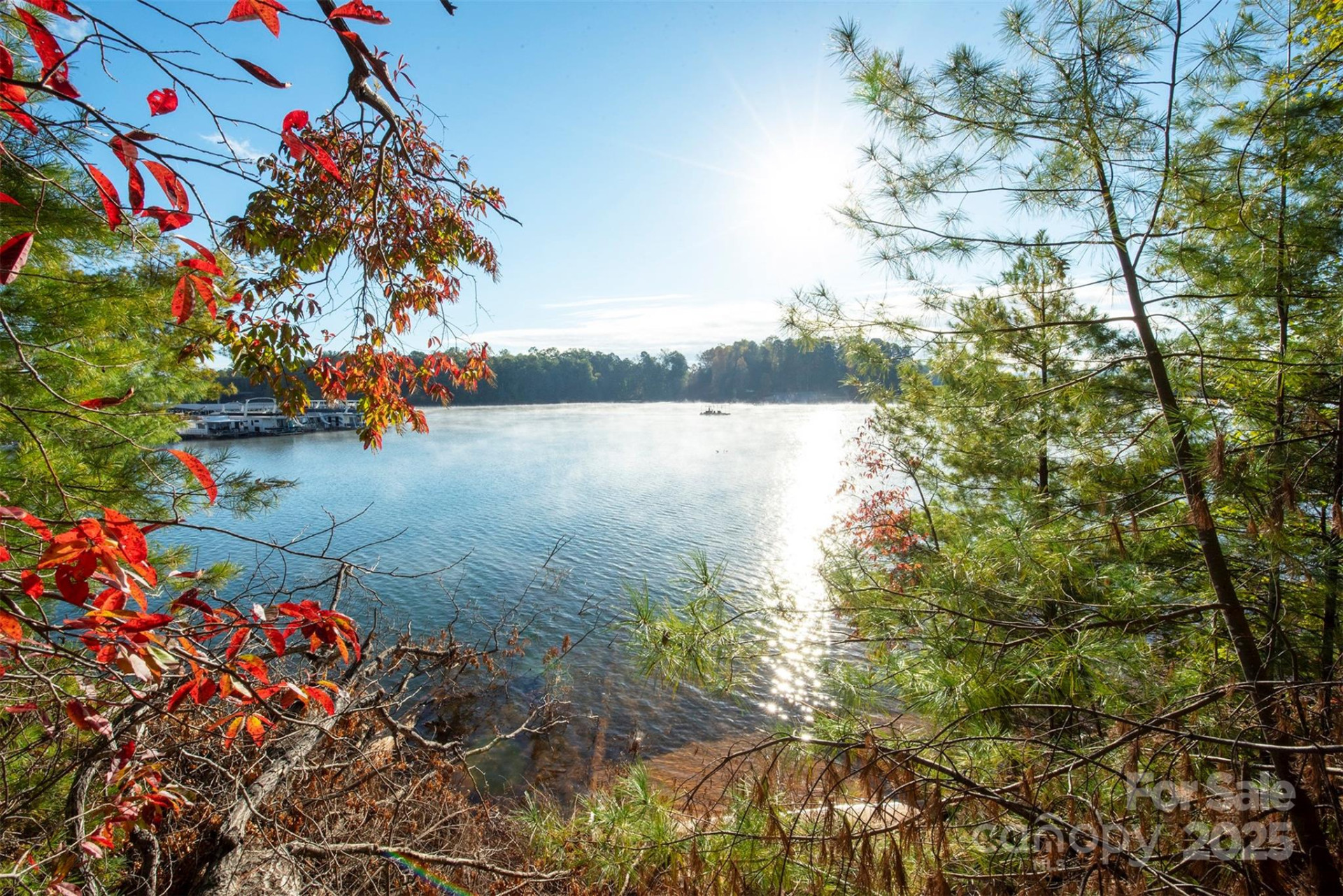 1439 Camp Firestone Drive - Photo 5