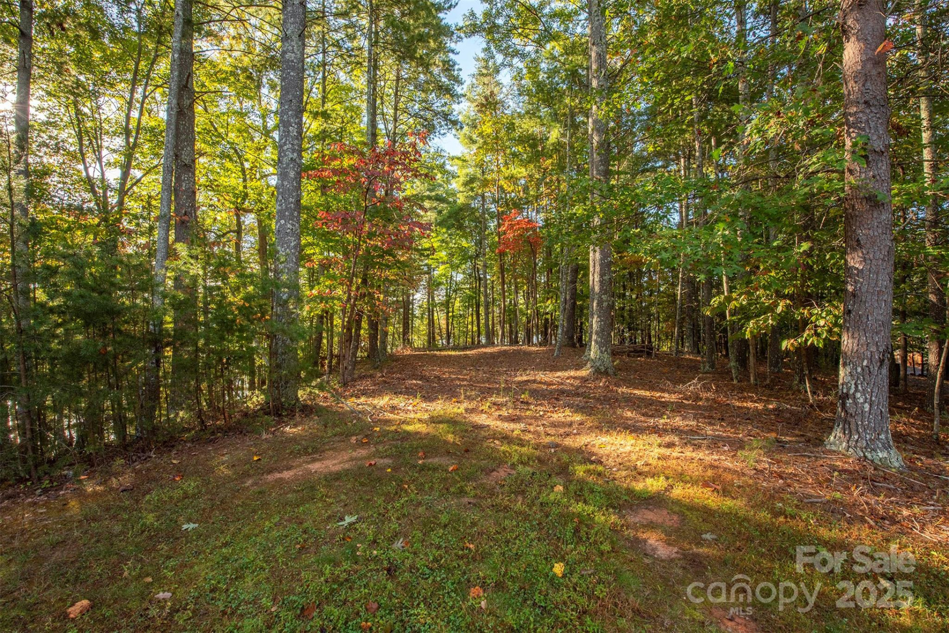 1439 Camp Firestone Drive - Photo 7