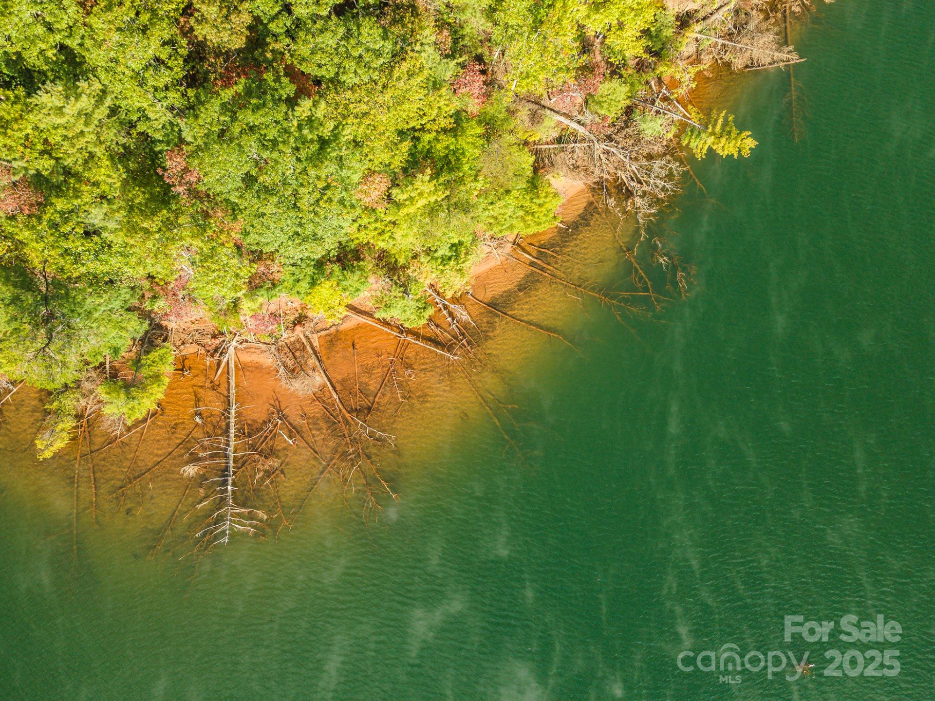 1439 Camp Firestone Drive - Photo 8