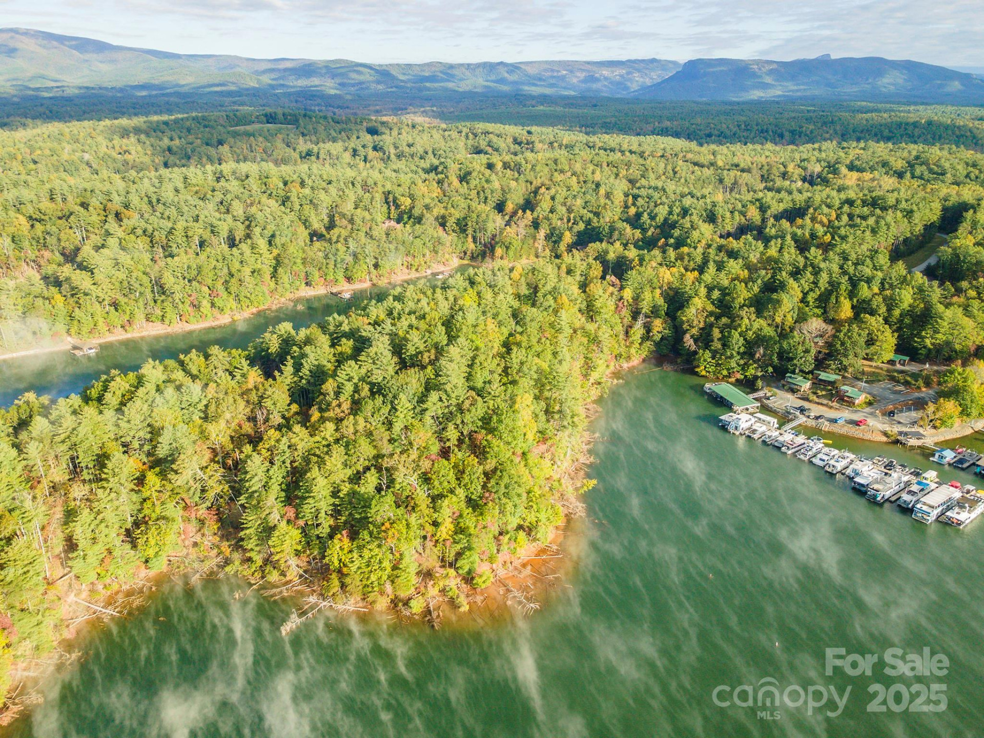 1439 Camp Firestone Drive - Photo 9