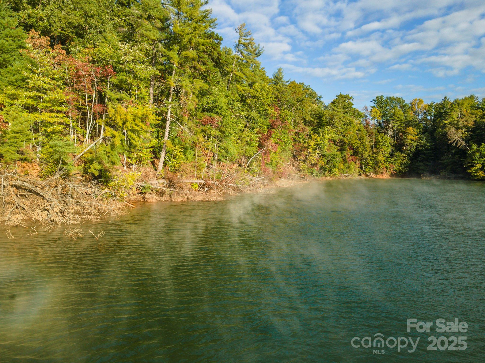 1439 Camp Firestone Drive - Photo 10