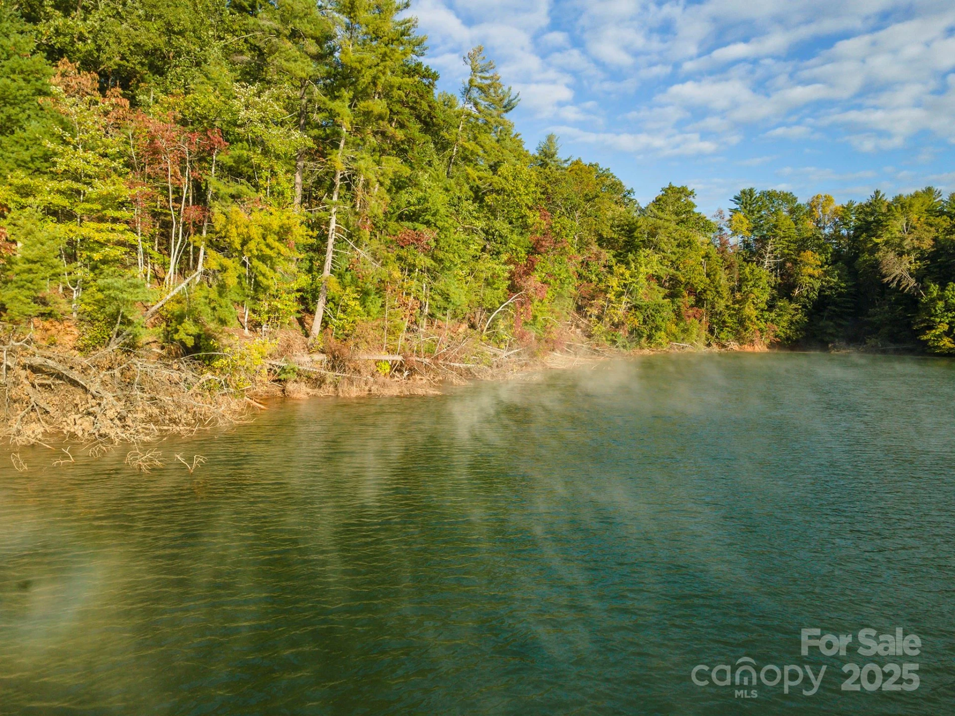 1439 Camp Firestone Drive - Photo 10