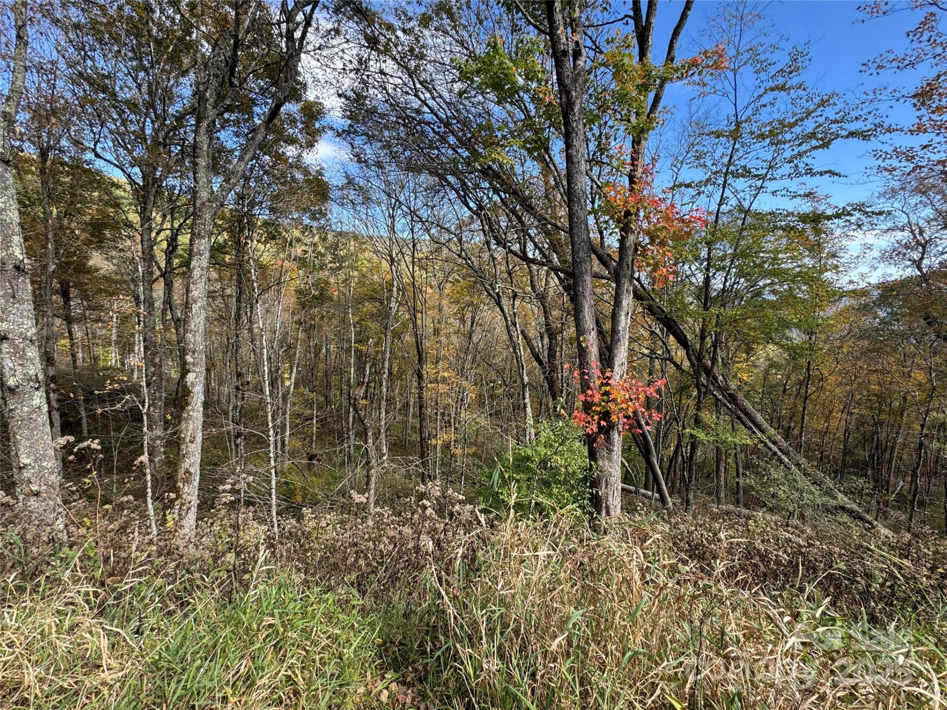 27 Trillium Lane - Photo 2