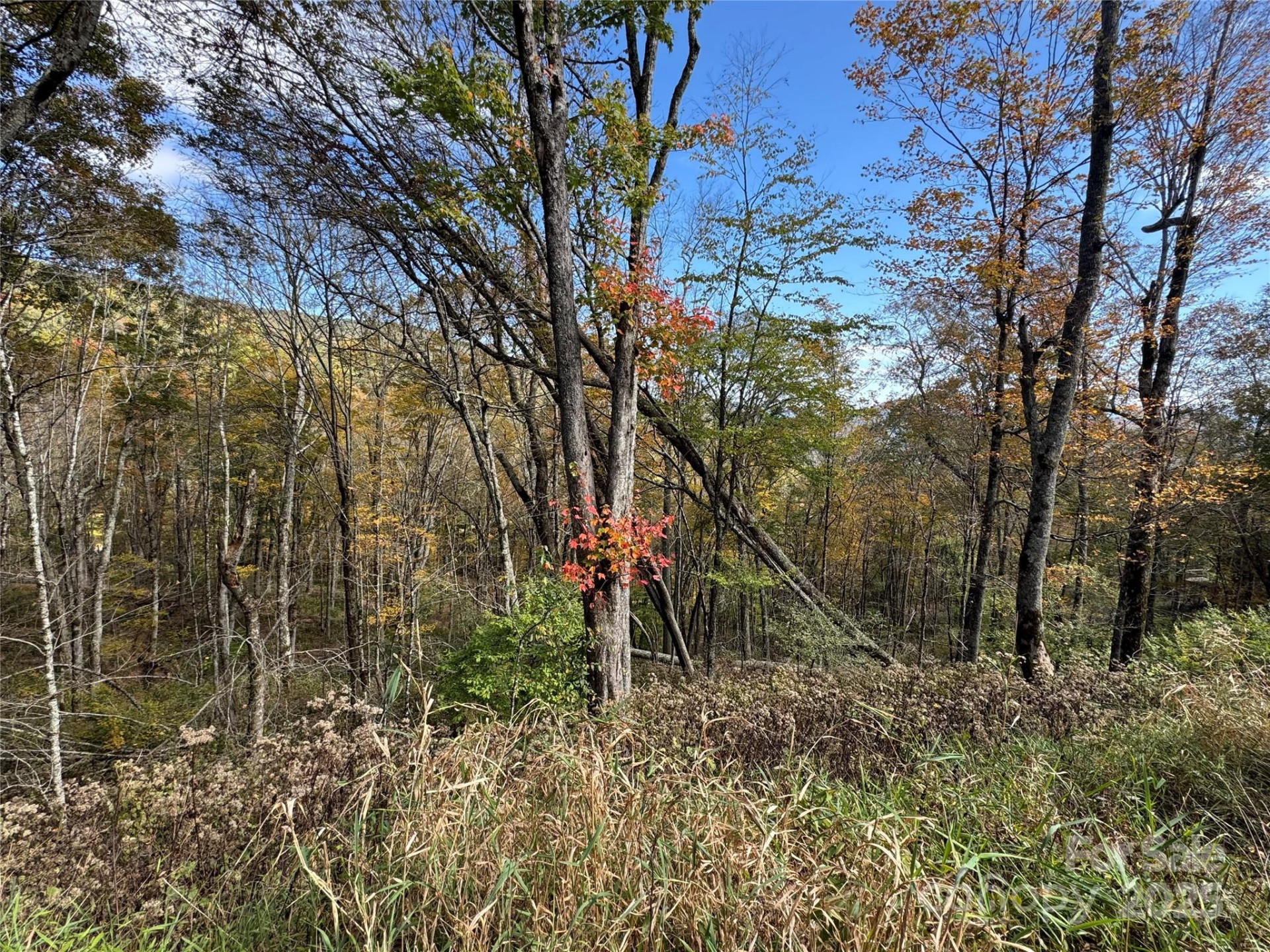 27 Trillium Lane - Photo 3