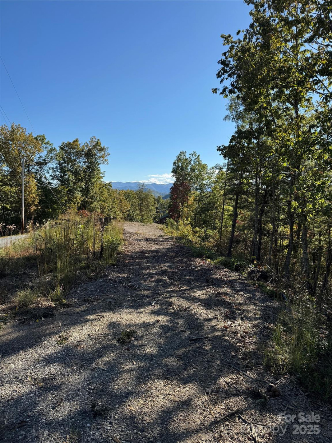 931 Mountainside Drive - Photo 12