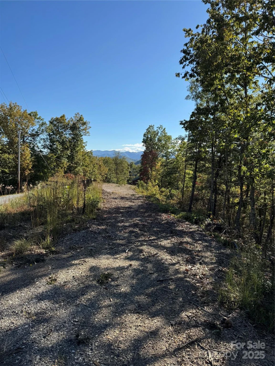931 Mountainside Drive - Photo 12